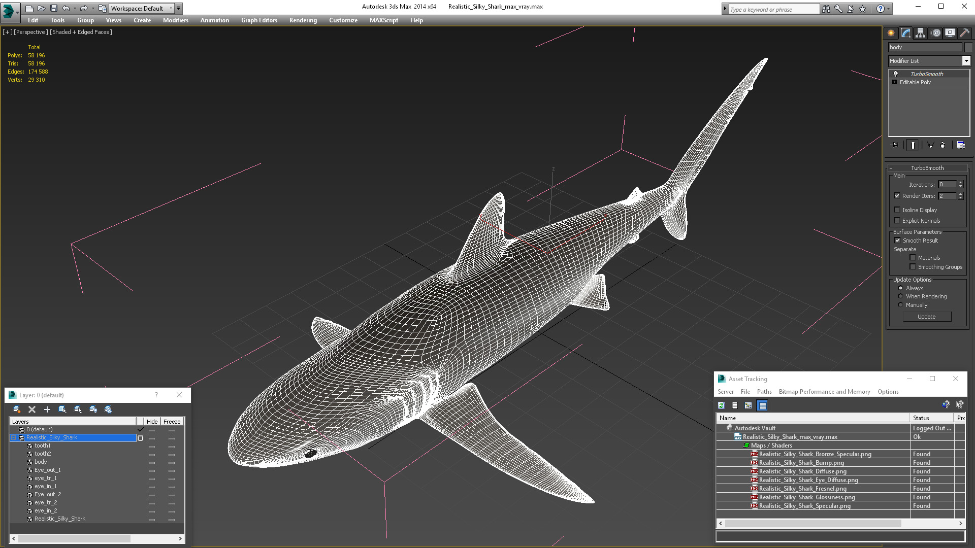 3D Realistic Silky Shark