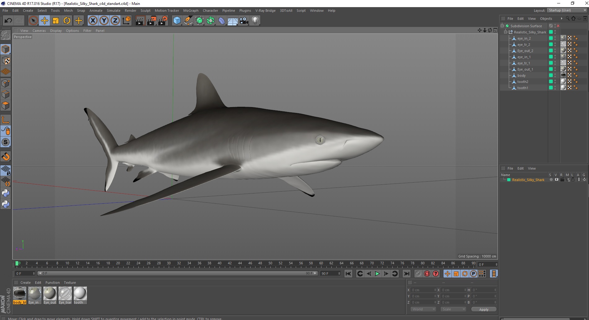 3D Realistic Silky Shark