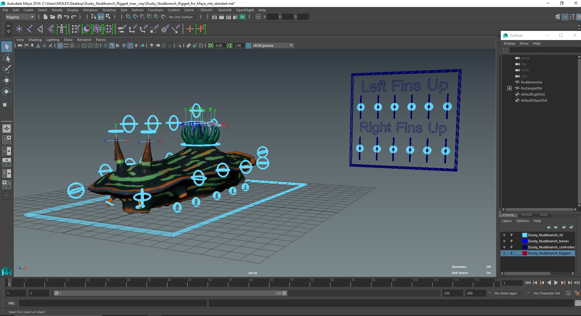 Dusky Nudibranch Rigged for Maya 3D
