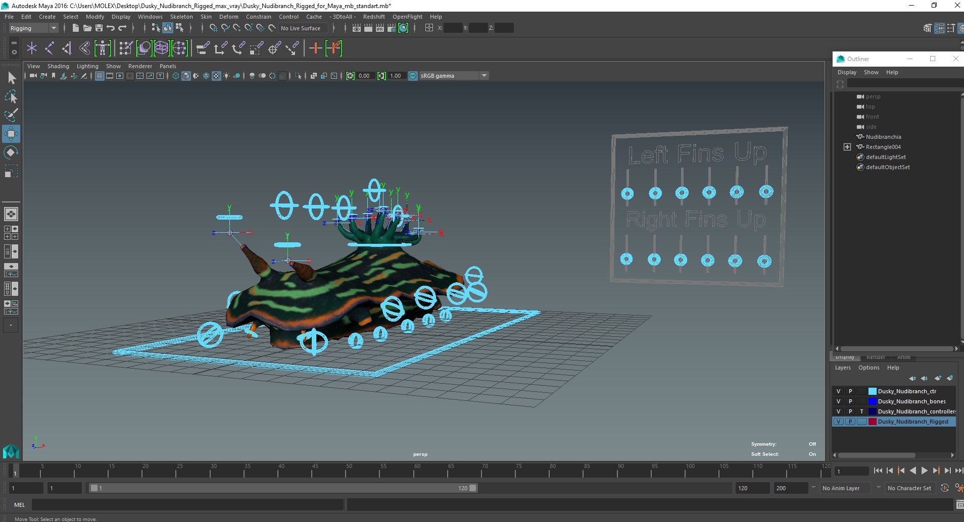 Dusky Nudibranch Rigged for Maya 3D