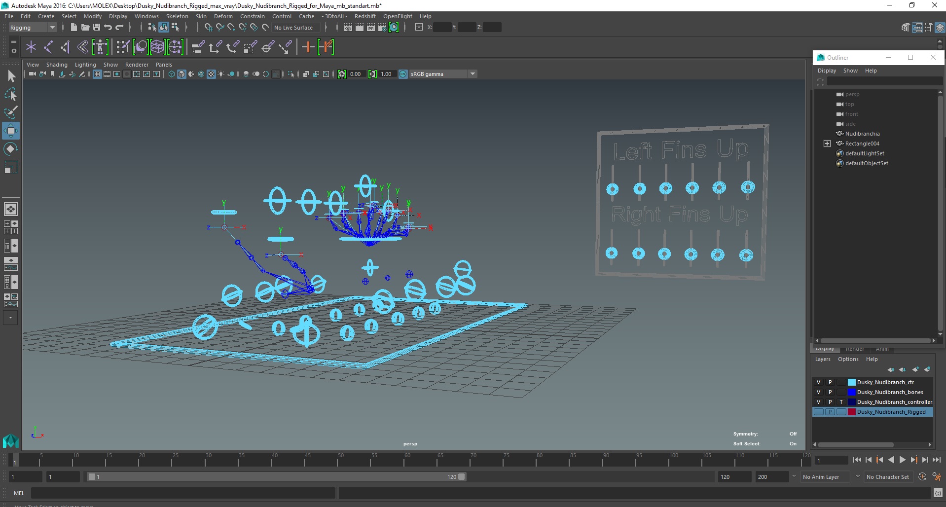 Dusky Nudibranch Rigged for Maya 3D
