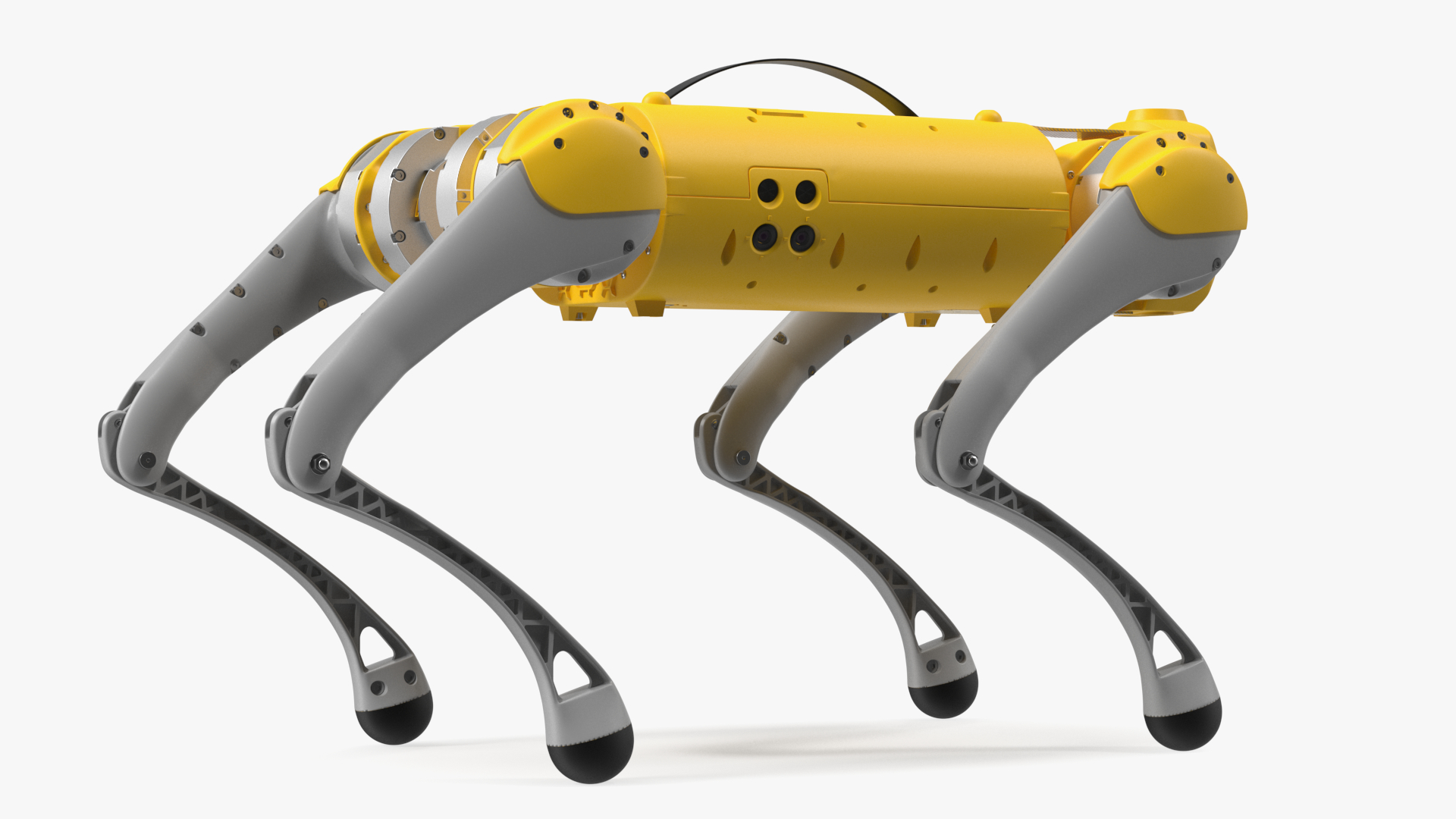 Yellow Dog Robot Rigged for Cinema 4D 3D