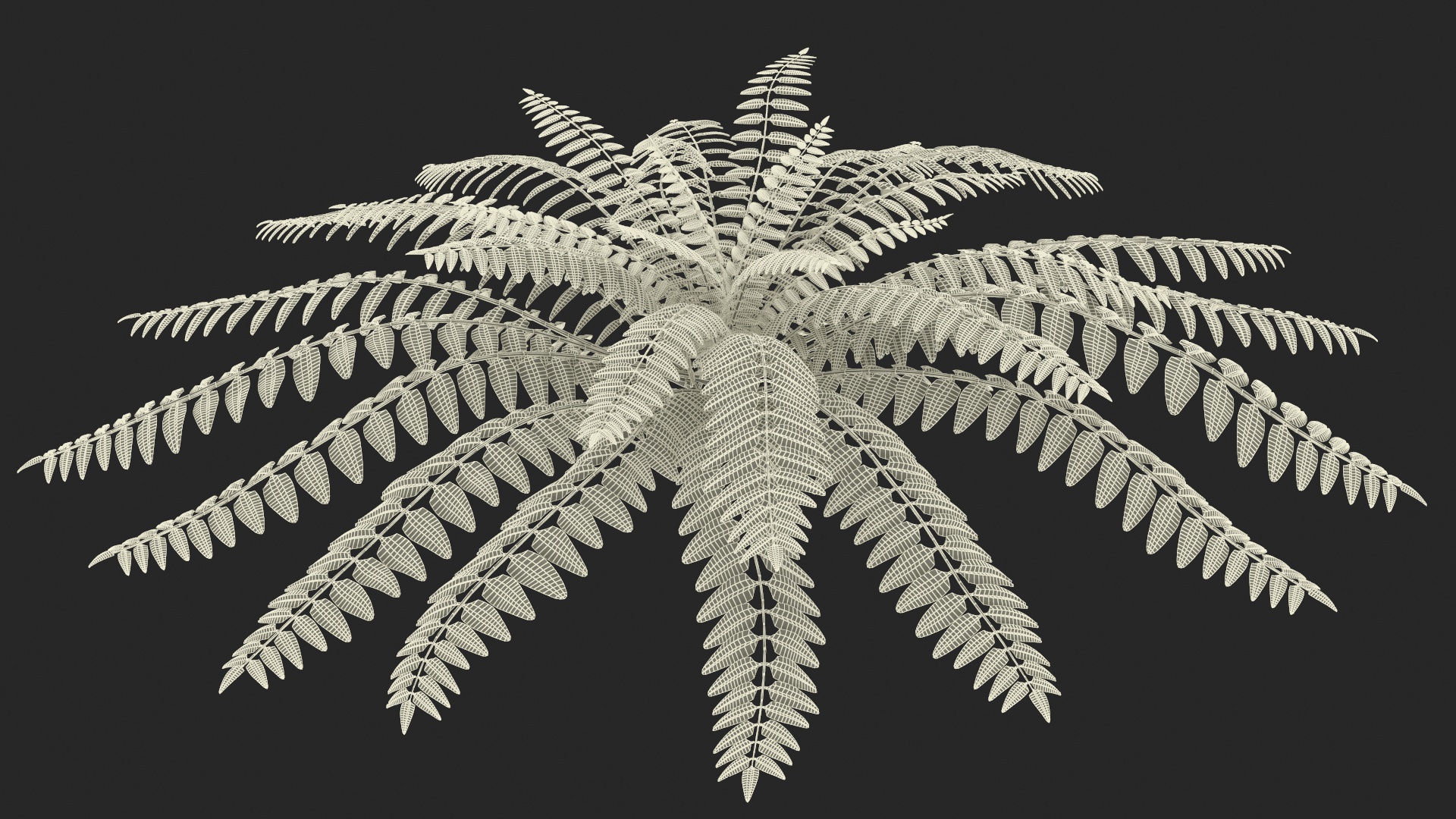 Realistic Tropical Fern Plant 3D model
