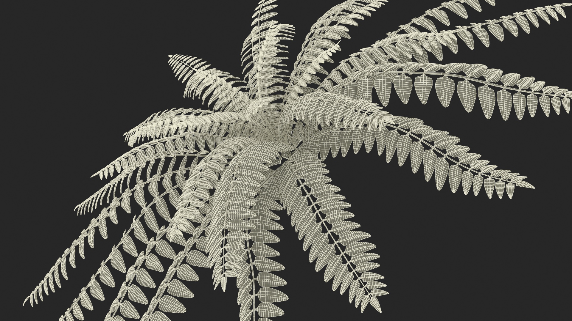 Realistic Tropical Fern Plant 3D model