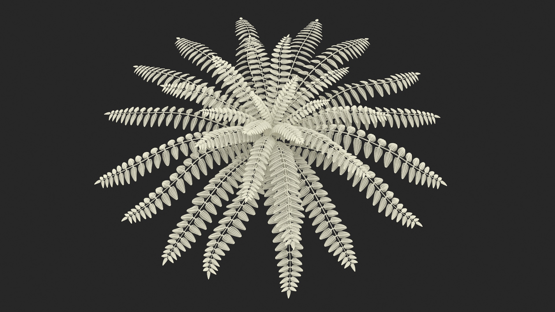 Realistic Tropical Fern Plant 3D model