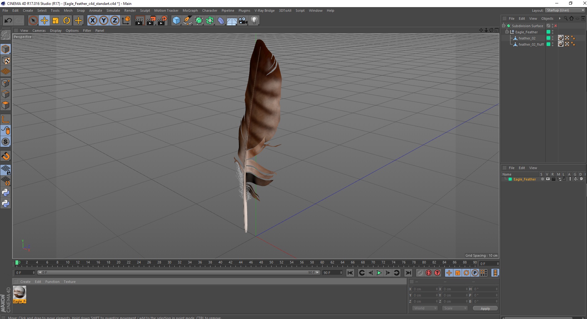 3D Eagle Feather model