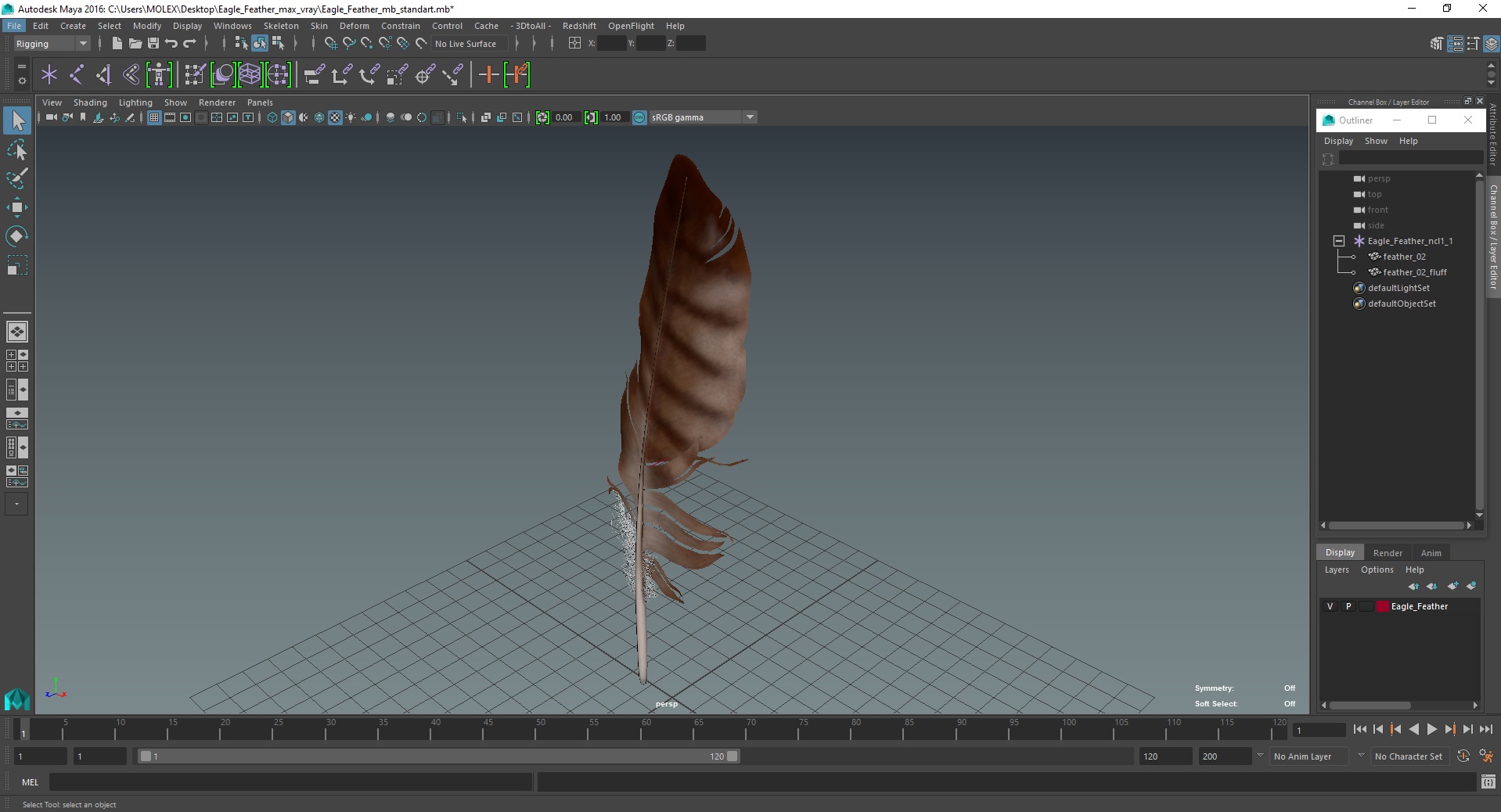 3D Eagle Feather model