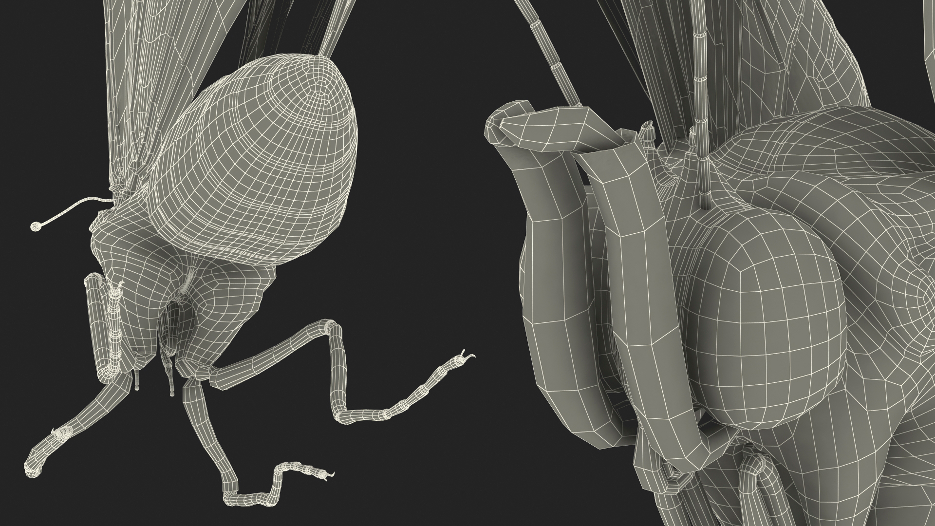 3D Animated Flight Red Admirable Butterfly Rigged