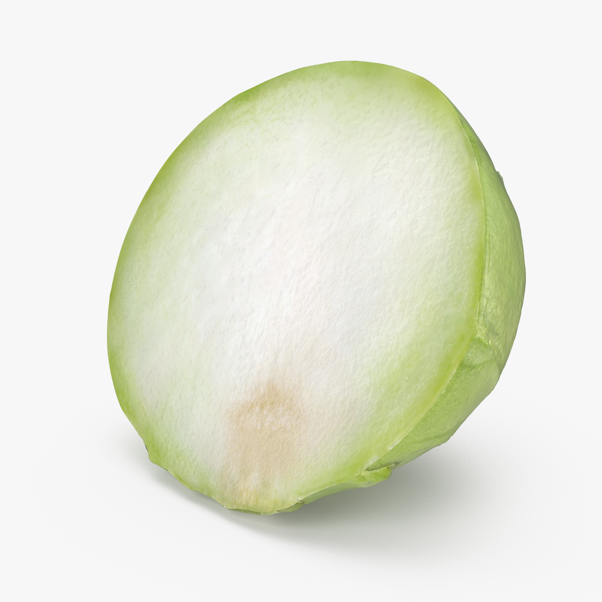 Turnip Cabbage or Kohlrabi Half 3D Model