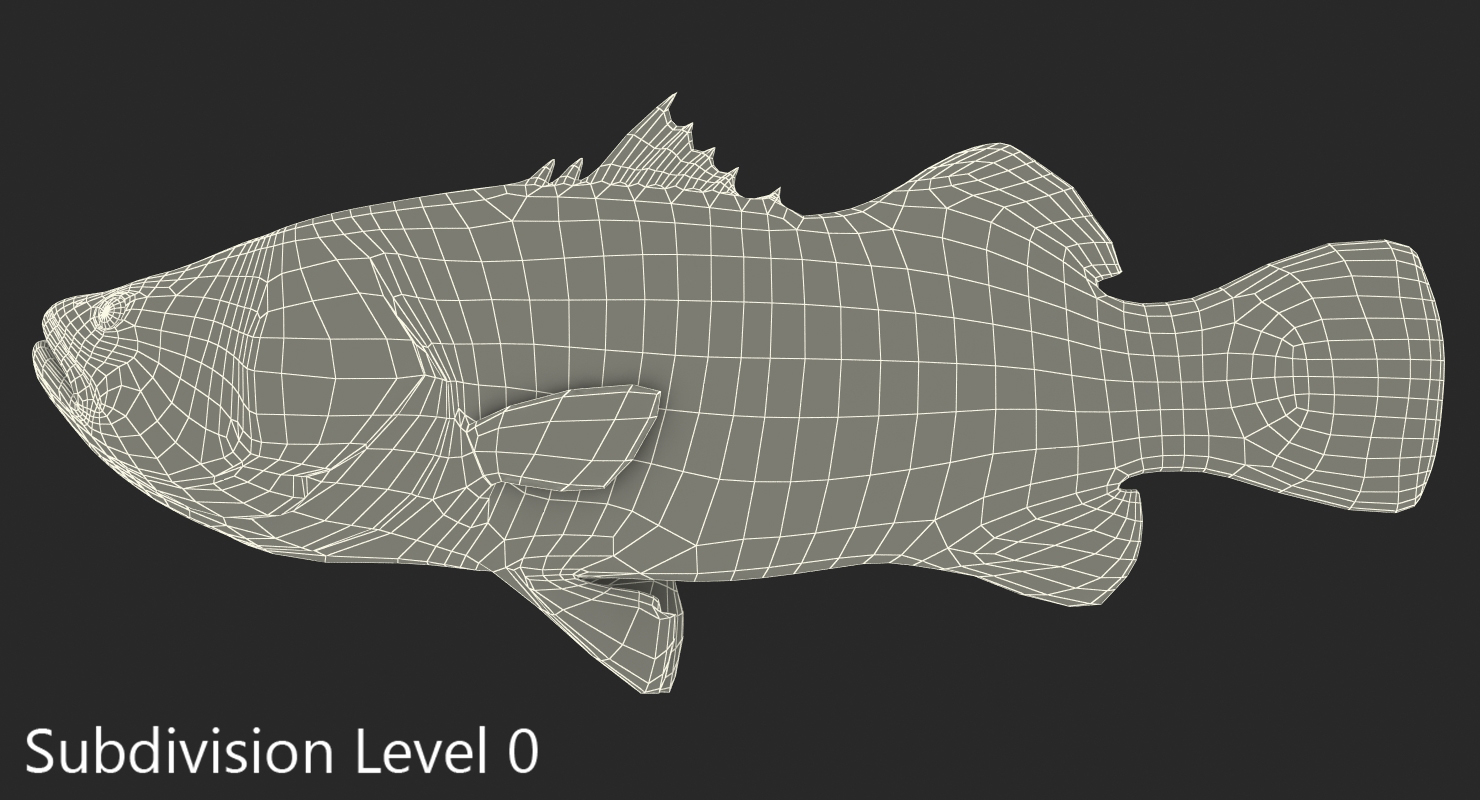 3D model Asian Sea Bass Fish Lying
