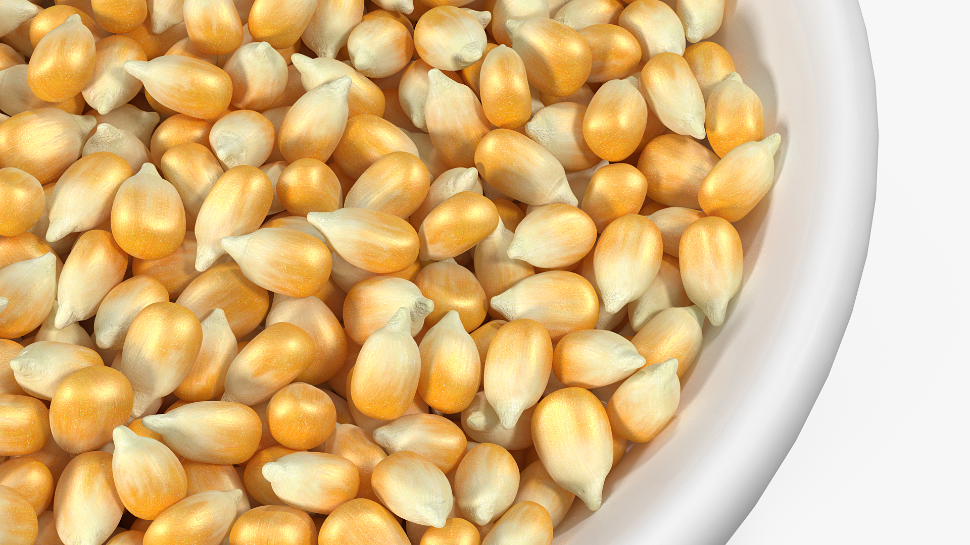 3D Corn Seeds in Ceramic Bowl