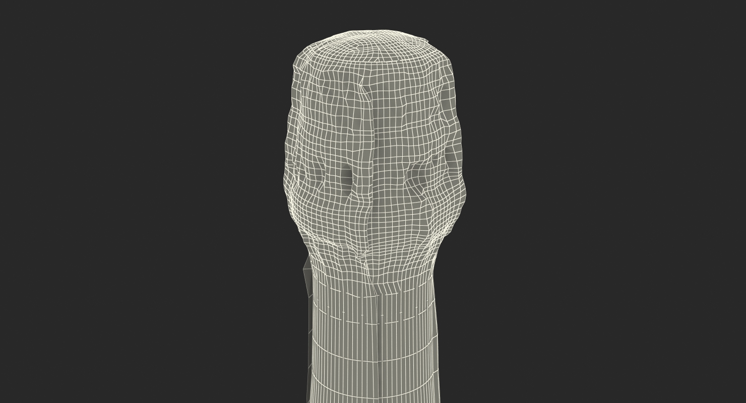 3D Champagne Bottle Krug