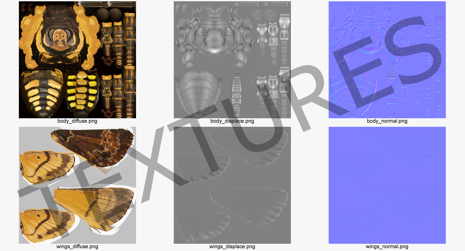 3D model Deaths Head Hawkmoth