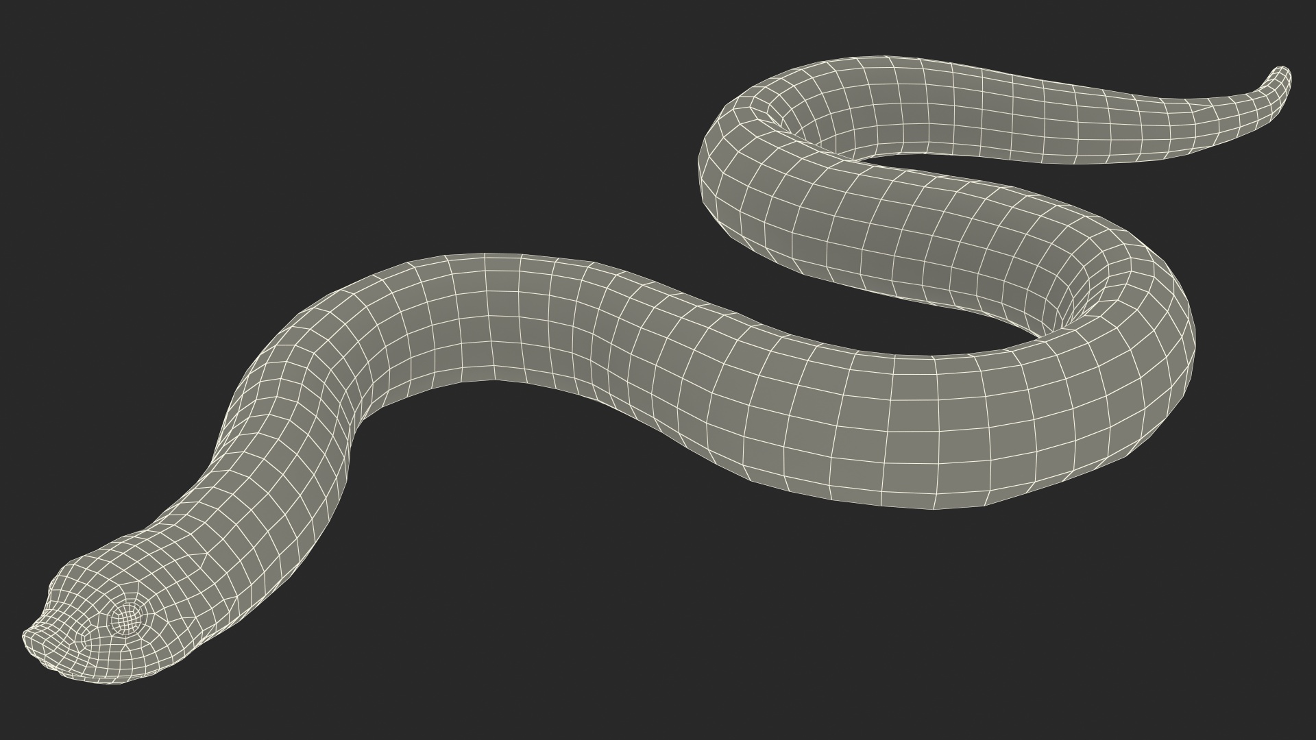 3D Red Hognose Snake Crawling Pose