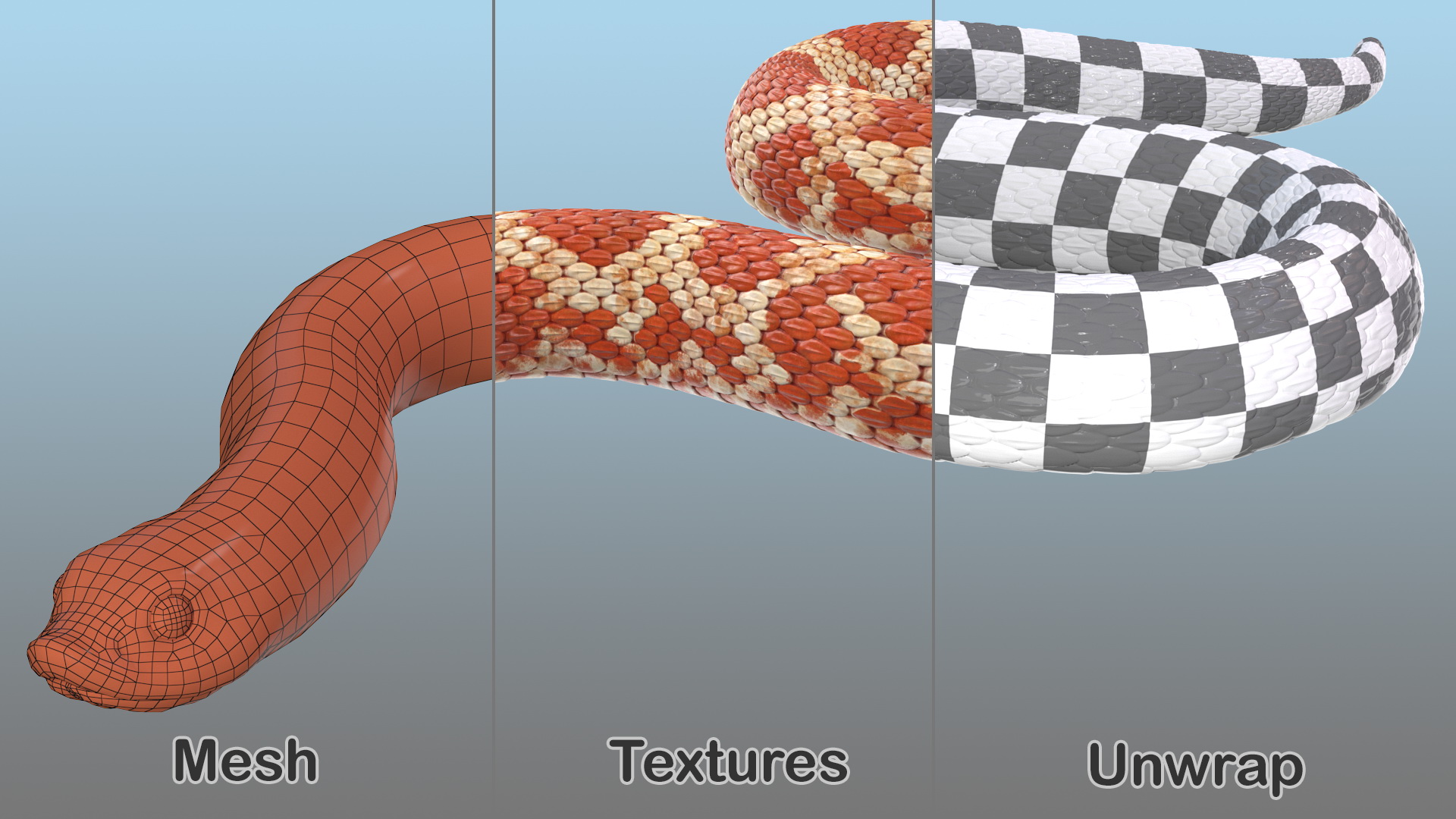 3D Red Hognose Snake Crawling Pose