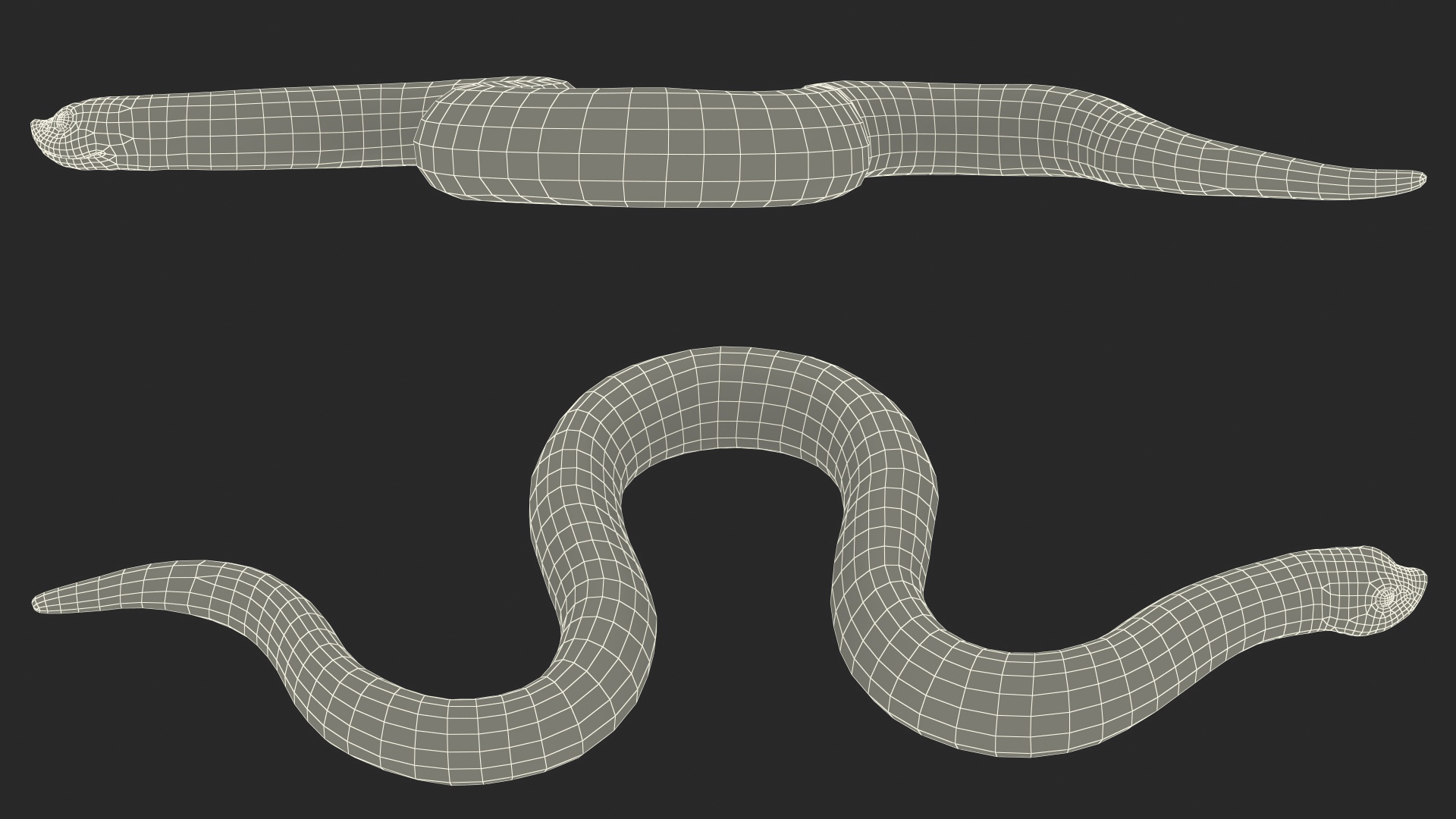 3D Red Hognose Snake Crawling Pose