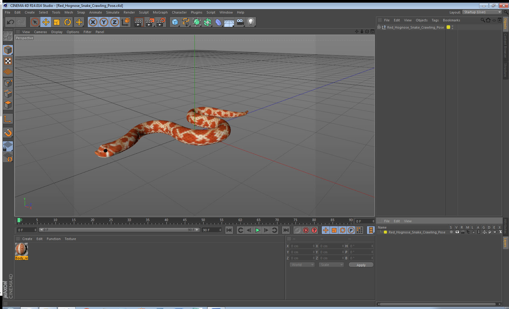 3D Red Hognose Snake Crawling Pose