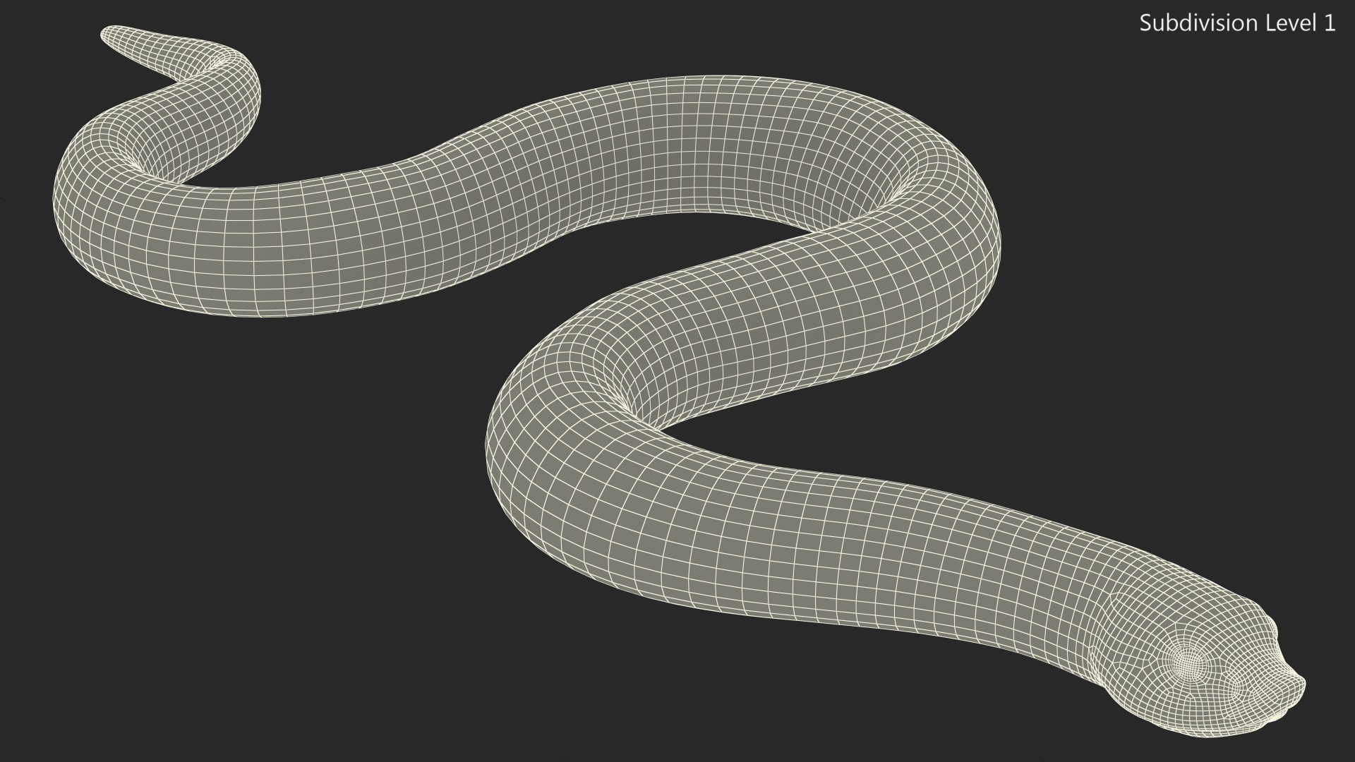 3D Red Hognose Snake Crawling Pose