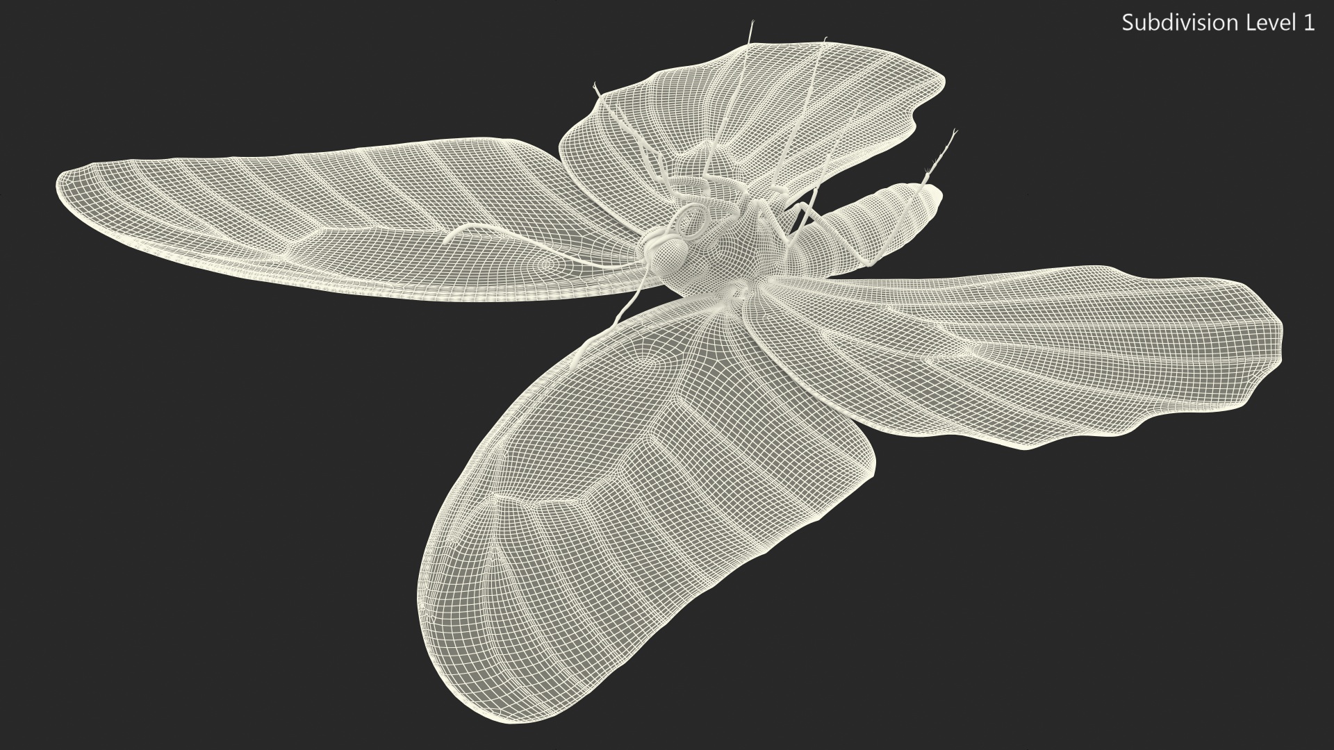 Papilio Protenor Butterfly Female Fur 3D