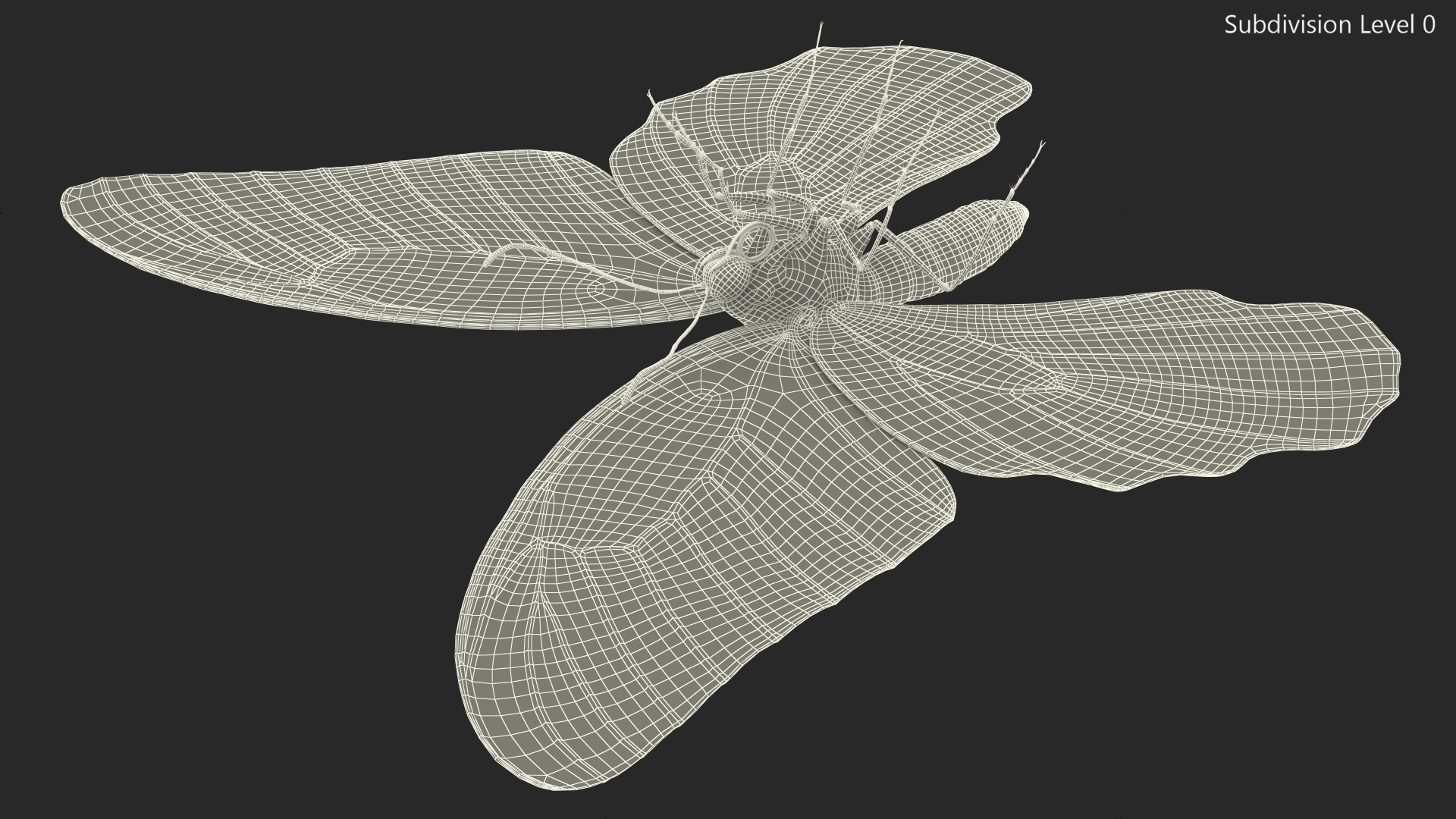 Papilio Protenor Butterfly Female Fur 3D