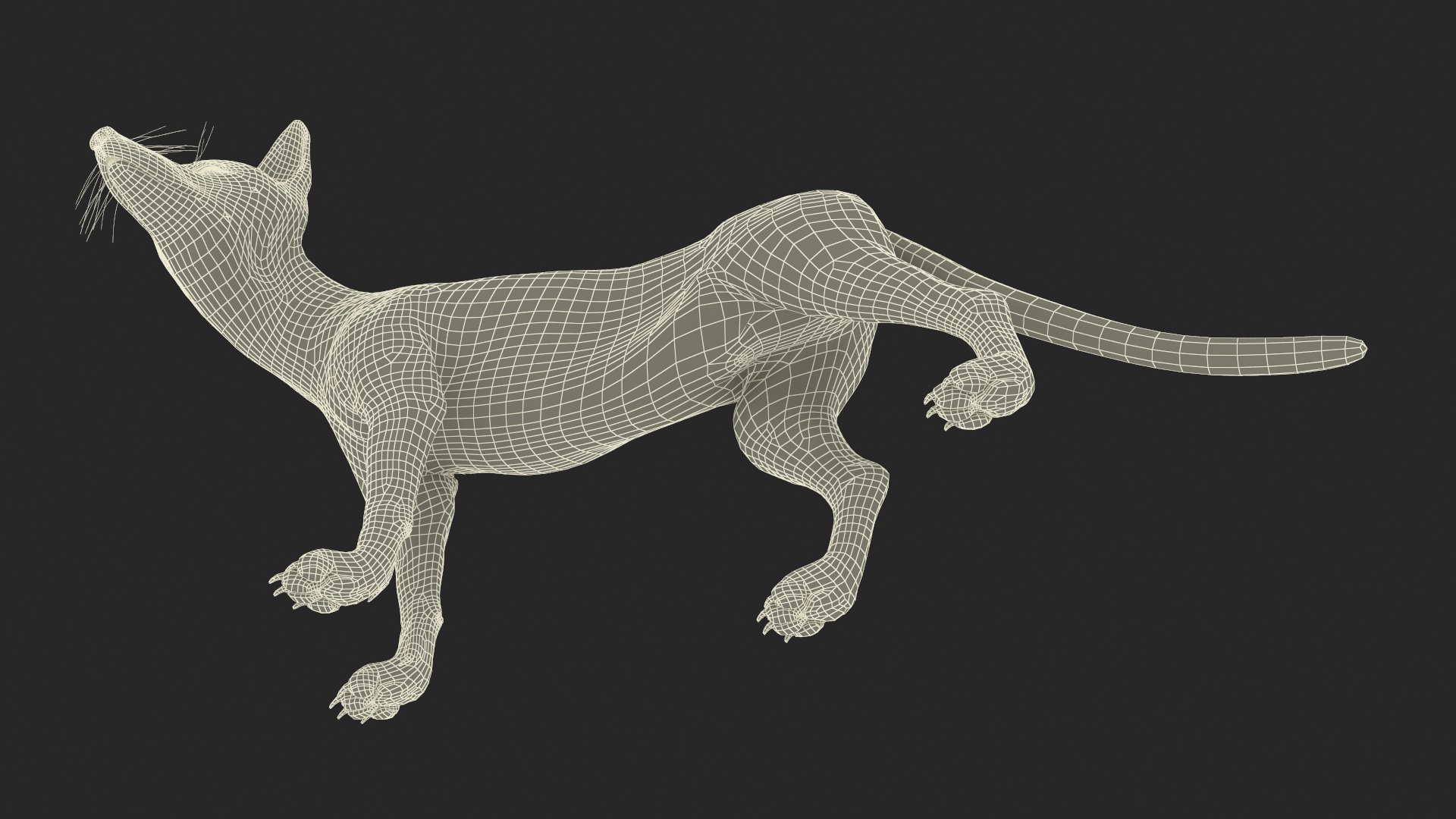 Wild Fox Idle Pose Fur 3D
