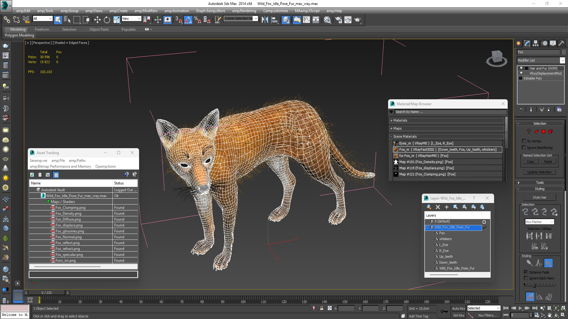 Wild Fox Idle Pose Fur 3D