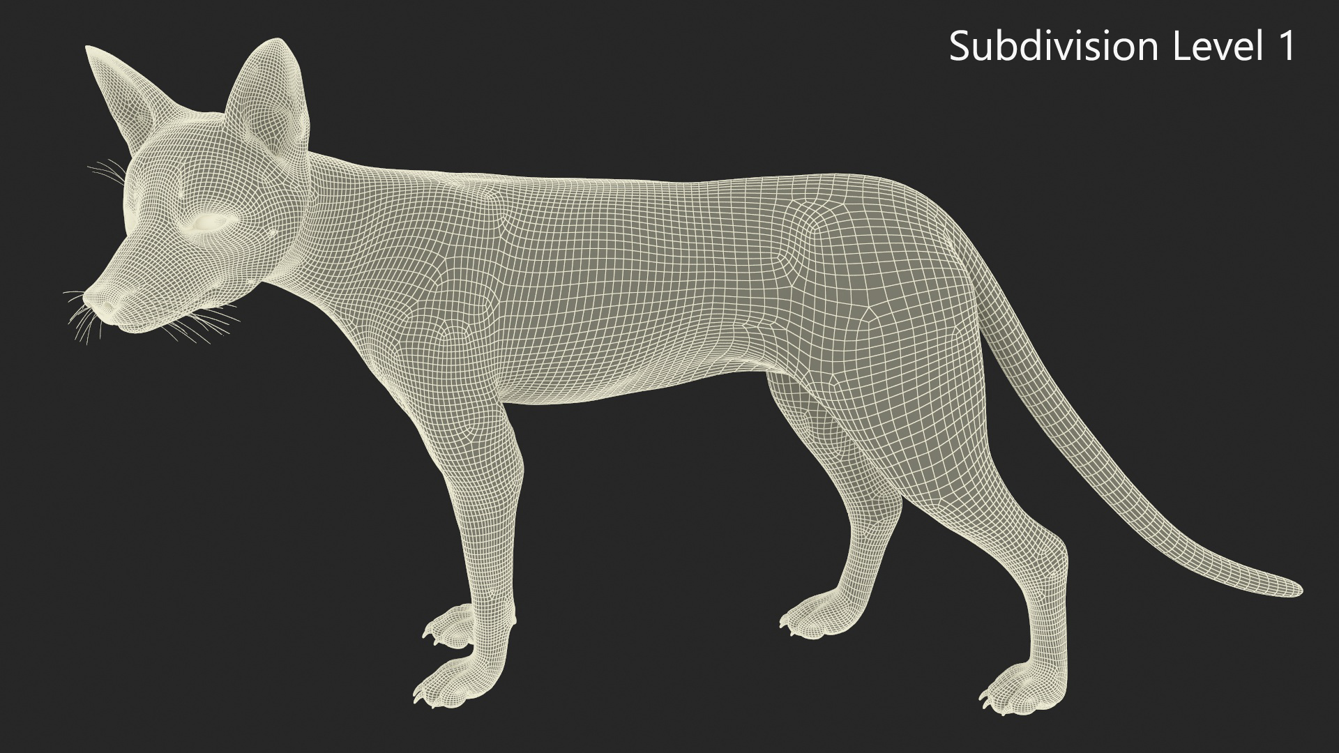Wild Fox Idle Pose Fur 3D