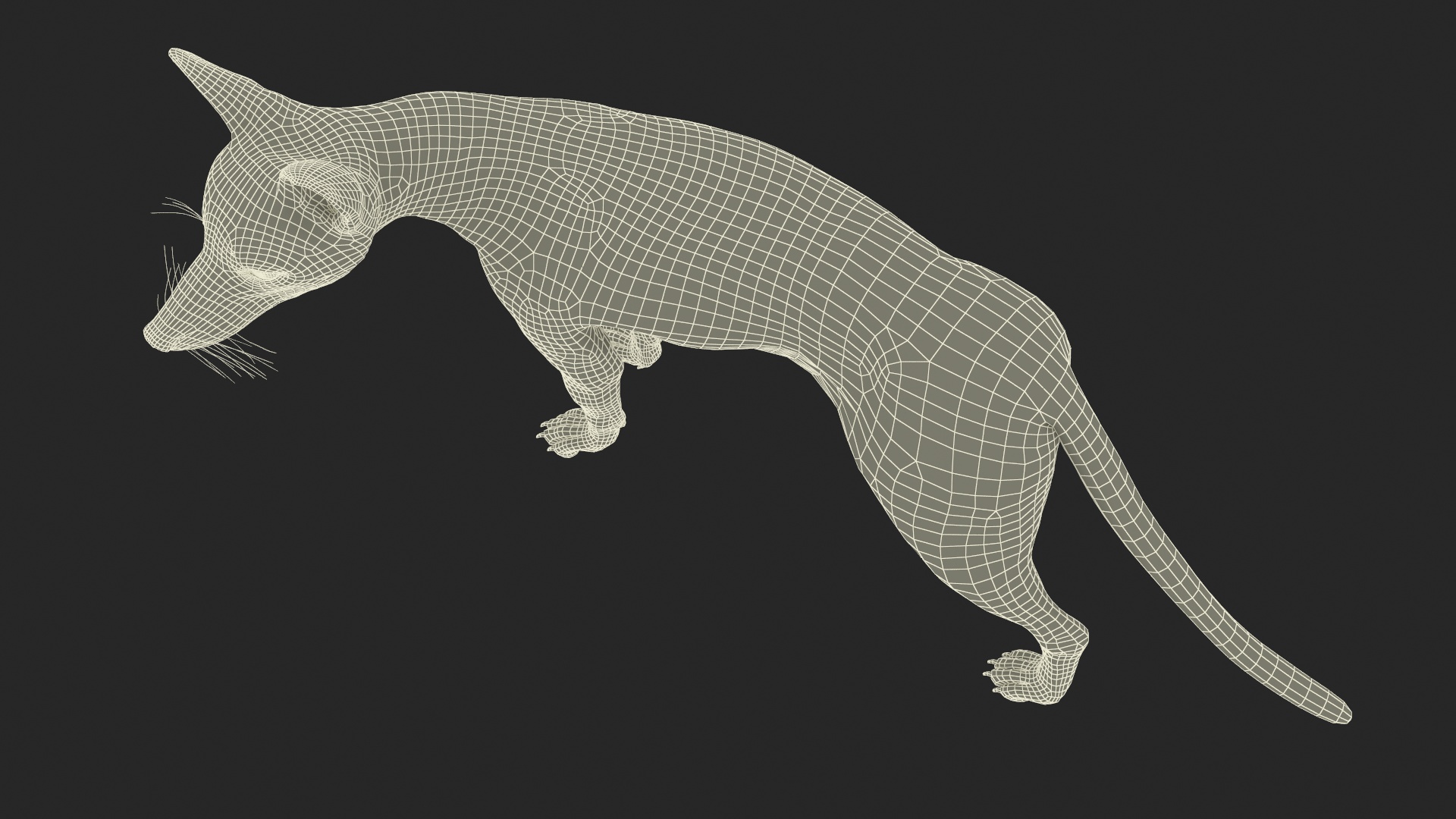 Wild Fox Idle Pose Fur 3D