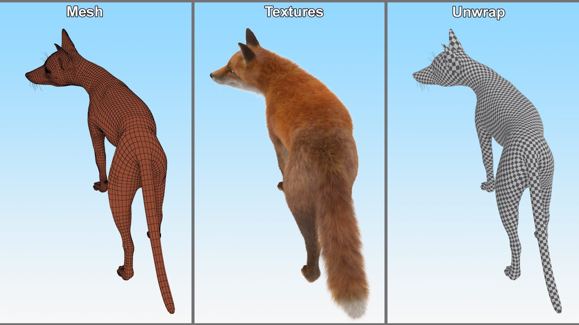 Wild Fox Idle Pose Fur 3D