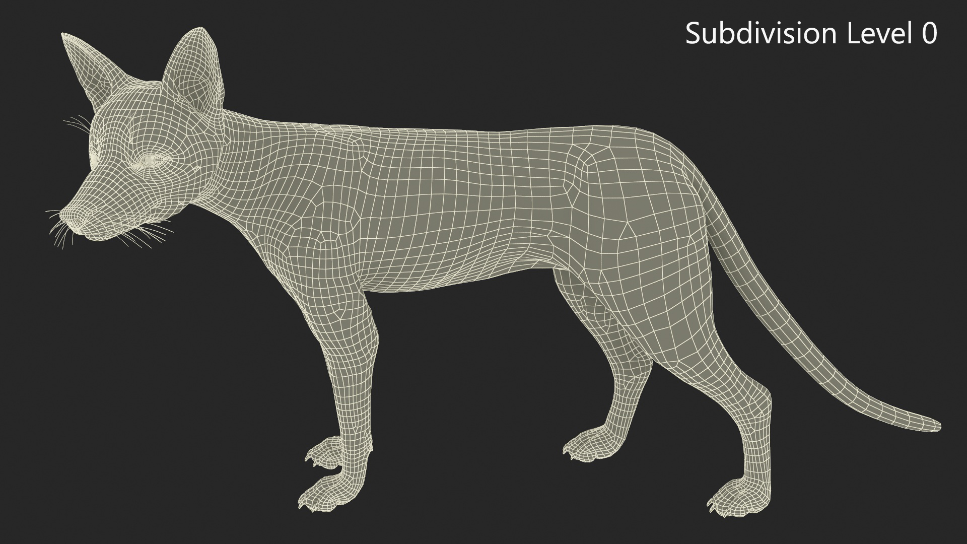 Wild Fox Idle Pose Fur 3D