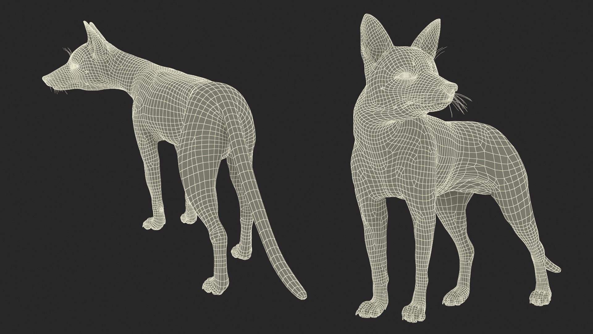 Wild Fox Idle Pose Fur 3D