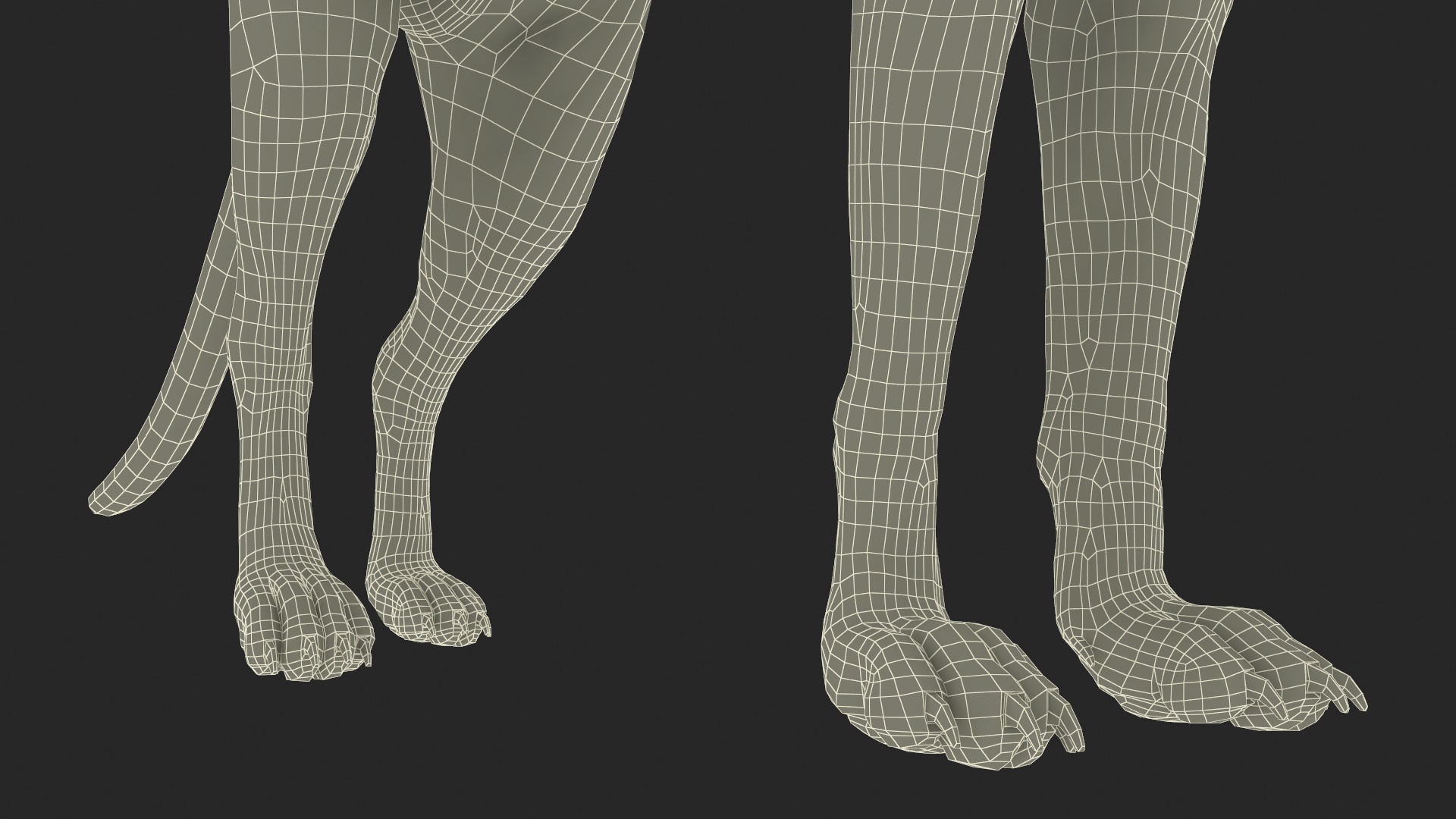 Wild Fox Idle Pose Fur 3D
