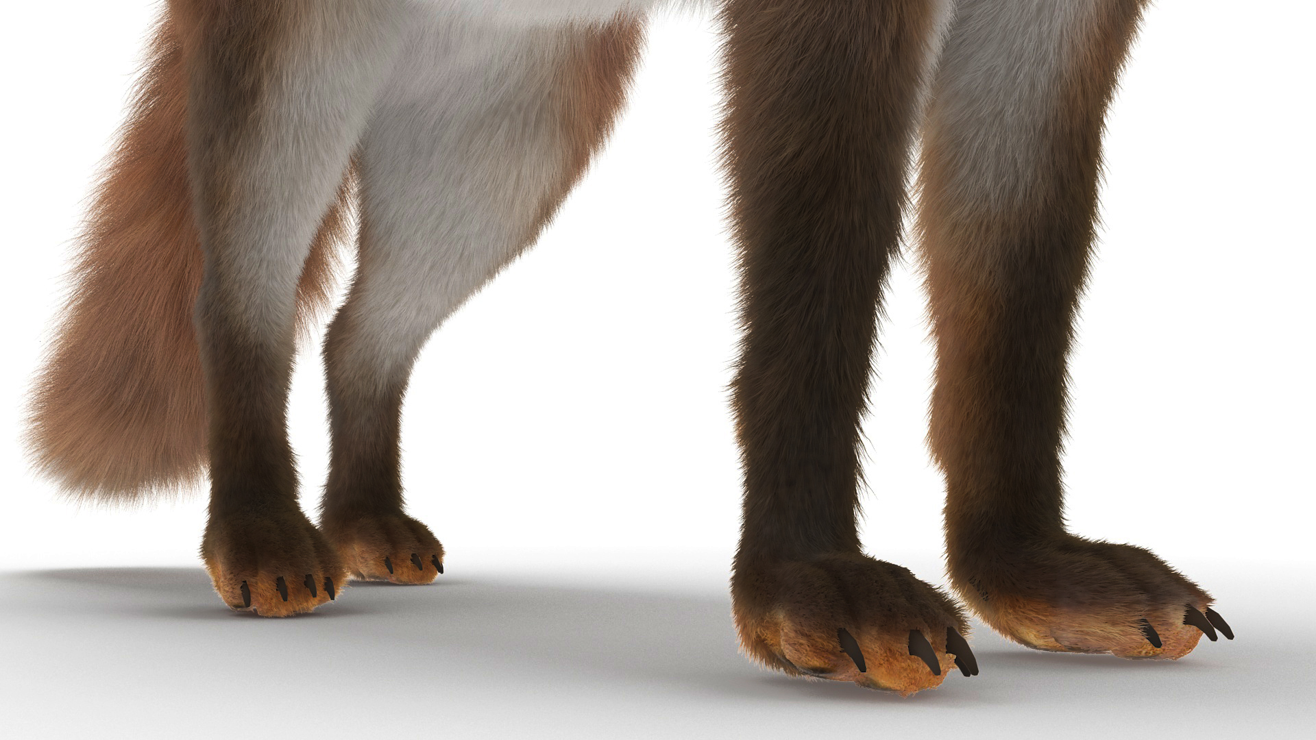 Wild Fox Idle Pose Fur 3D