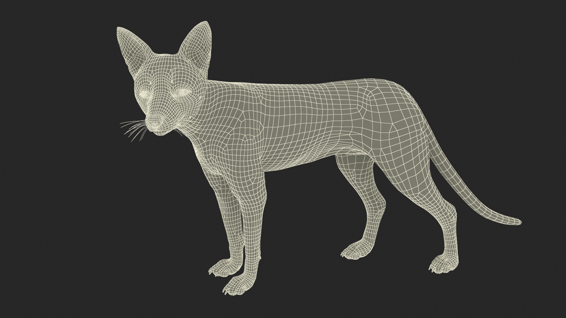 Wild Fox Idle Pose Fur 3D