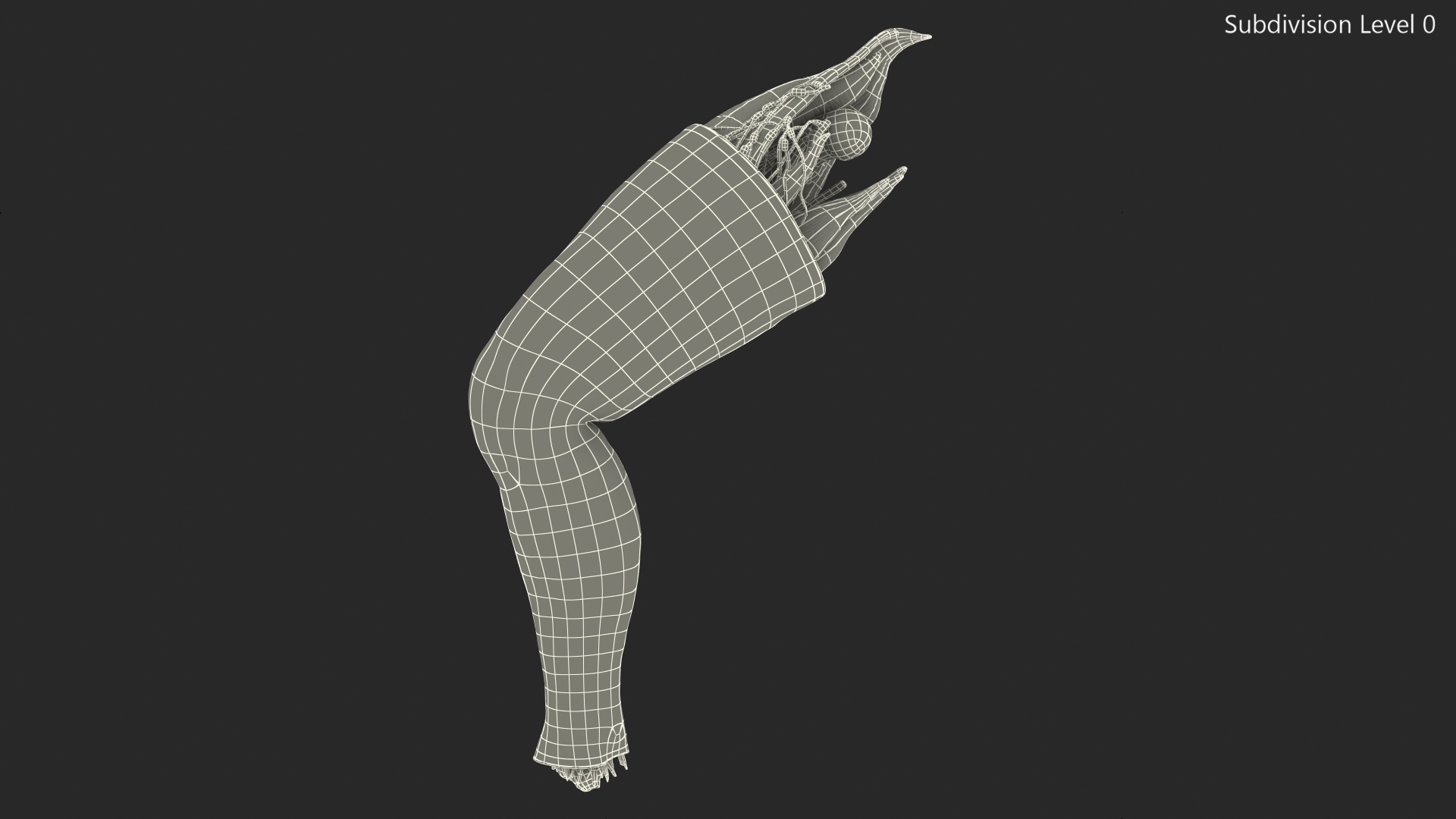 3D Human Knee Joint Anatomy Rigged