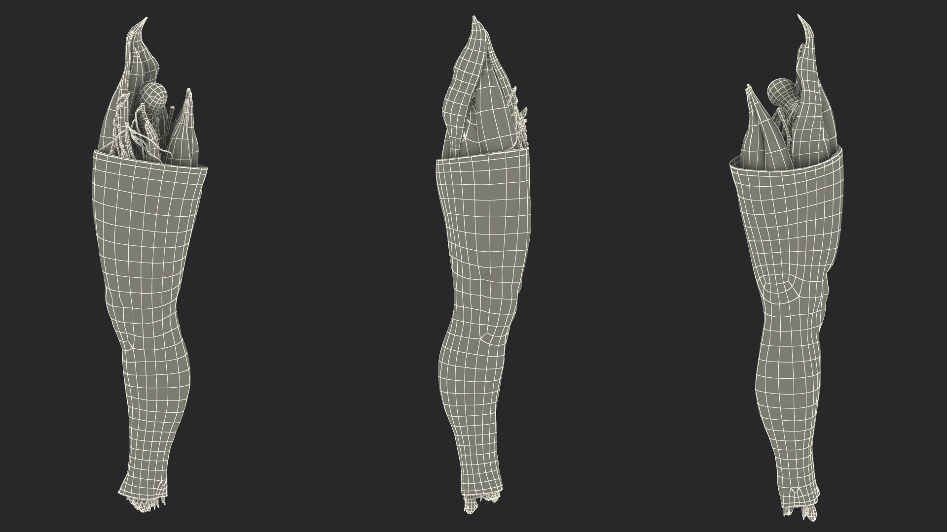 3D Human Knee Joint Anatomy Rigged