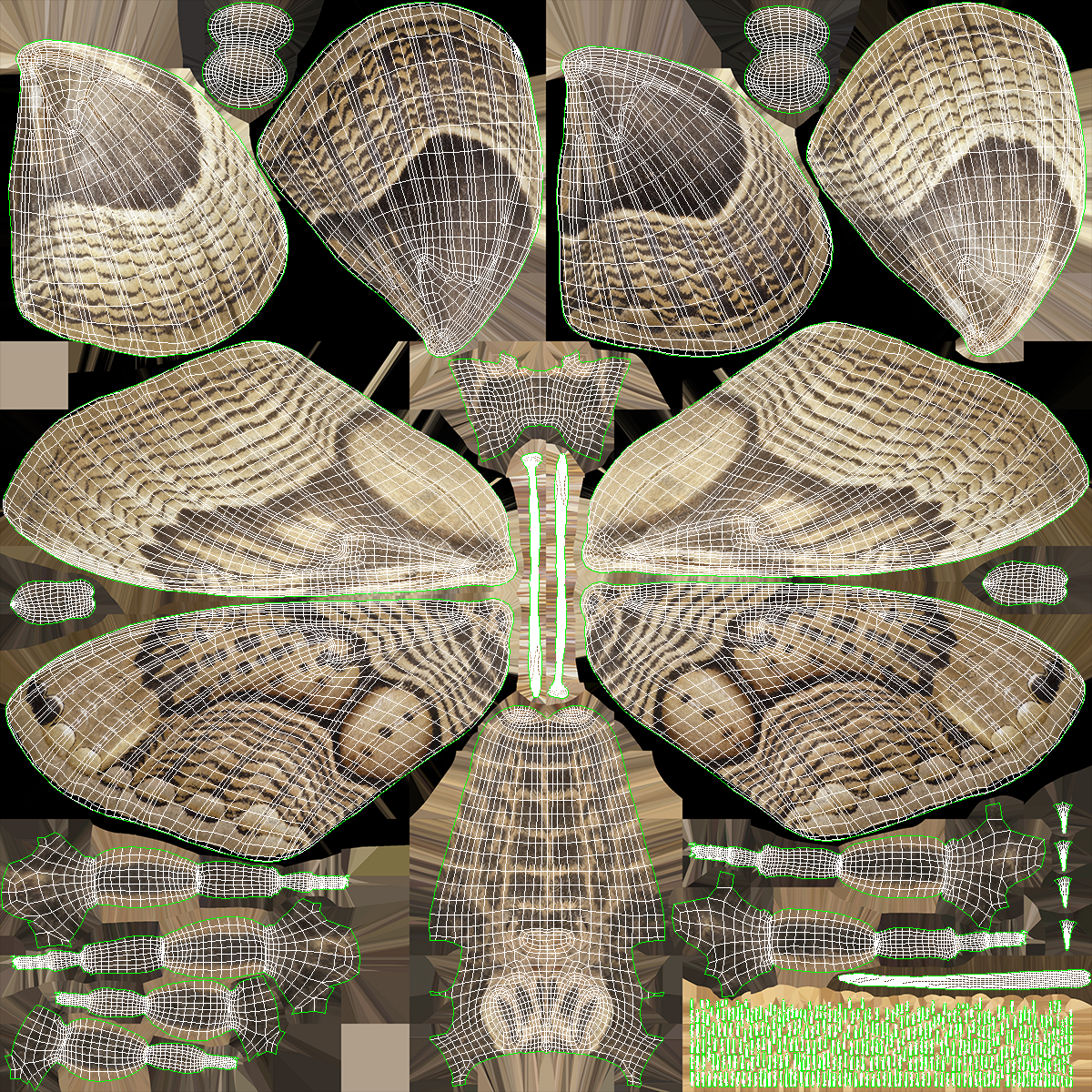 3D model Animated Brahmaea Wallichii Flight Fur Rigged