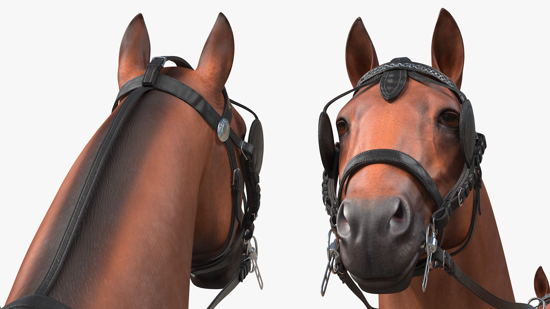 Team of Four Breast Collar Harness 3D model