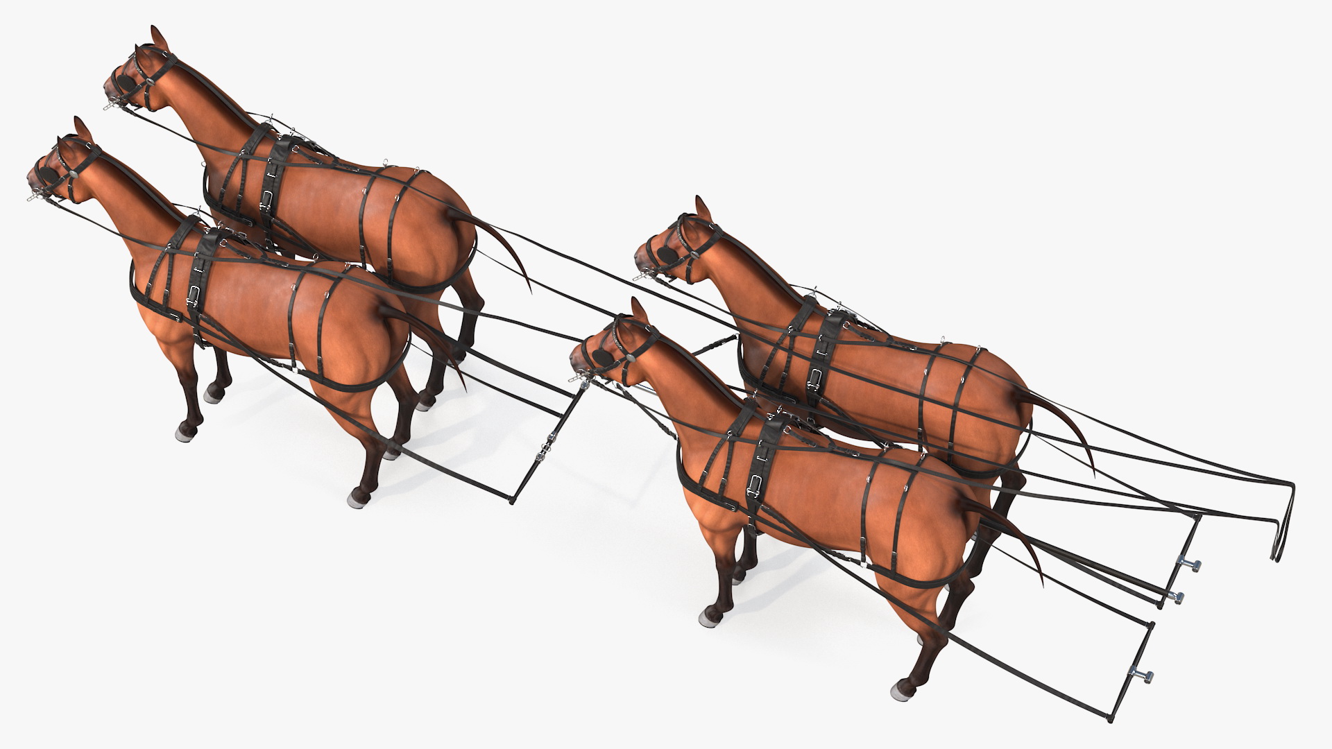 Team of Four Breast Collar Harness 3D model