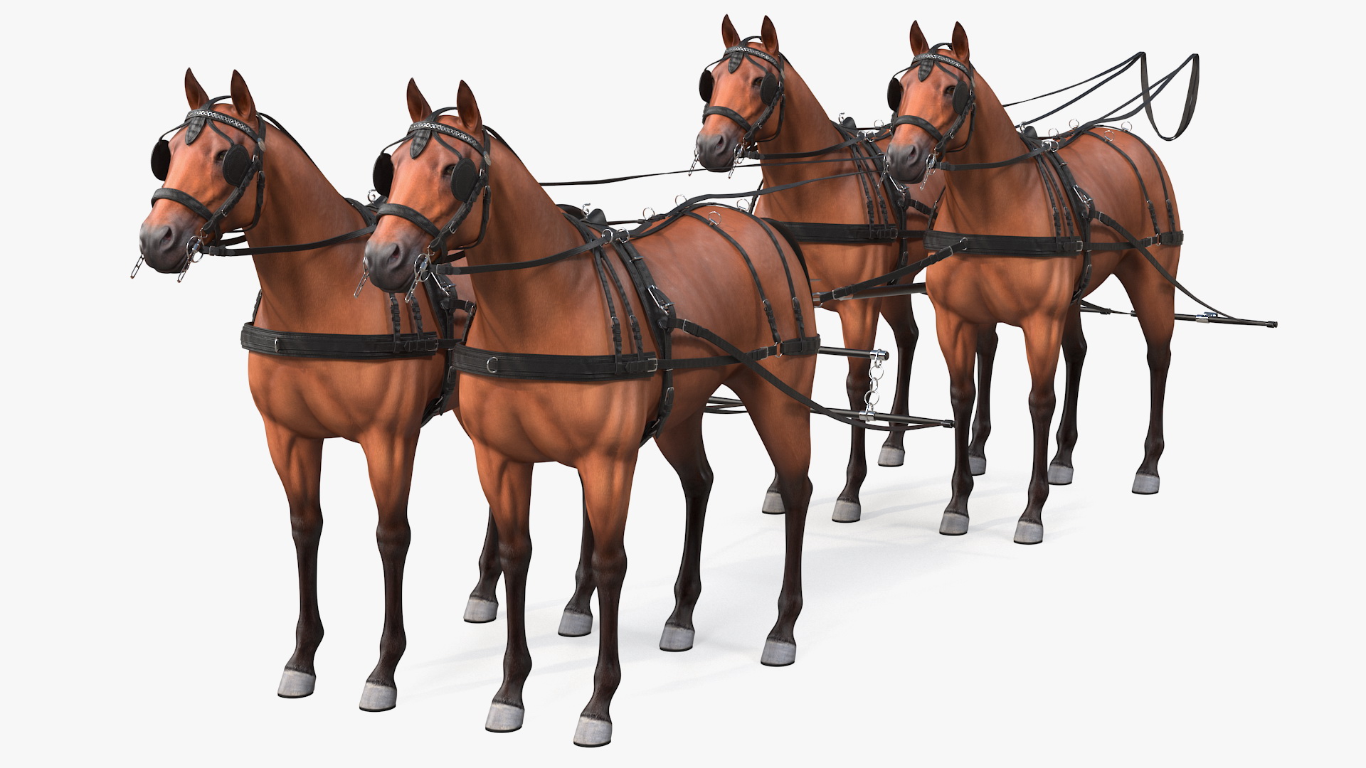 Team of Four Breast Collar Harness 3D model
