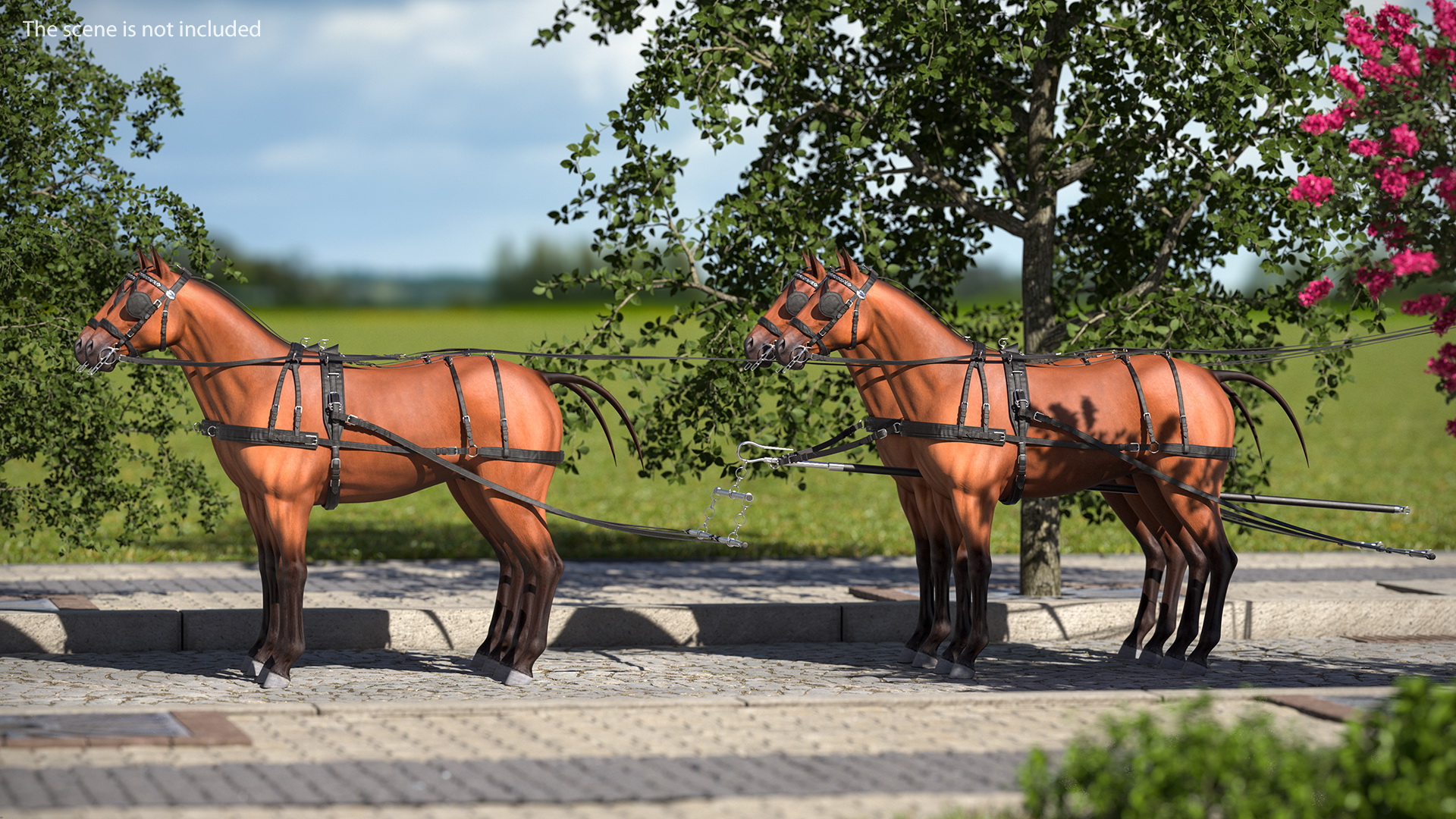 Team of Four Breast Collar Harness 3D model