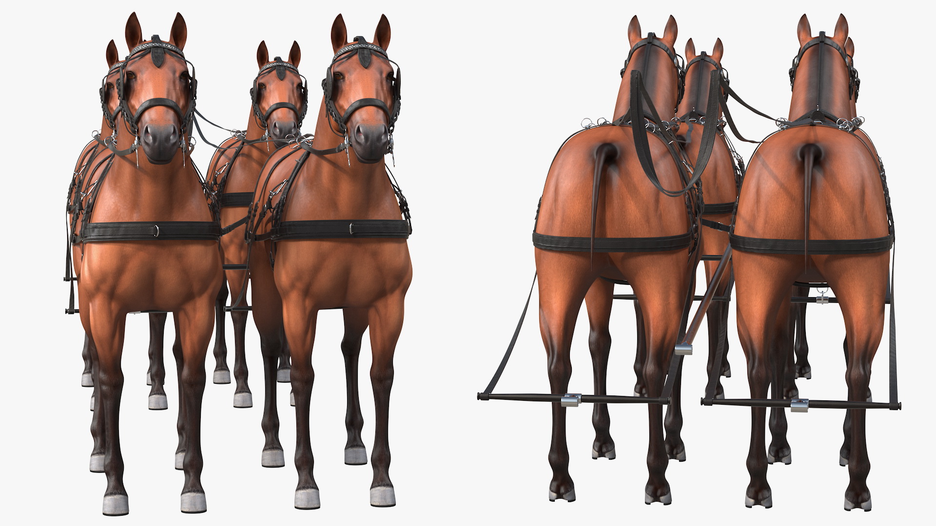 Team of Four Breast Collar Harness 3D model