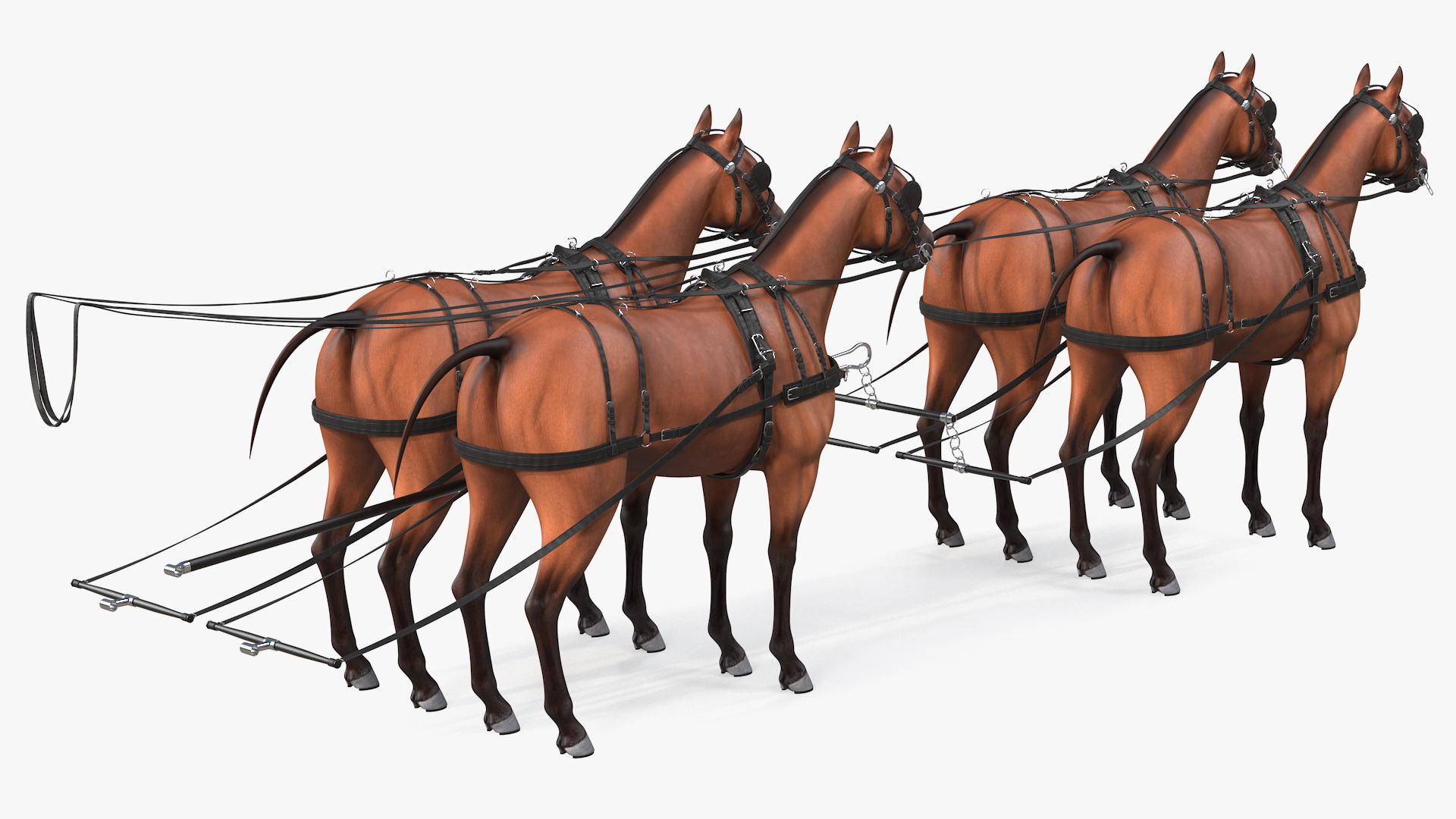 Team of Four Breast Collar Harness 3D model