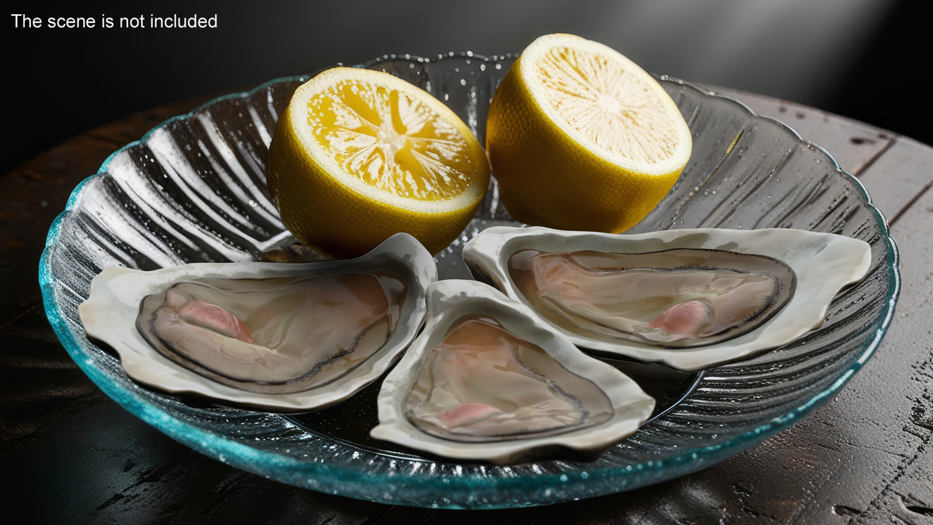 3D Opened Oyster model