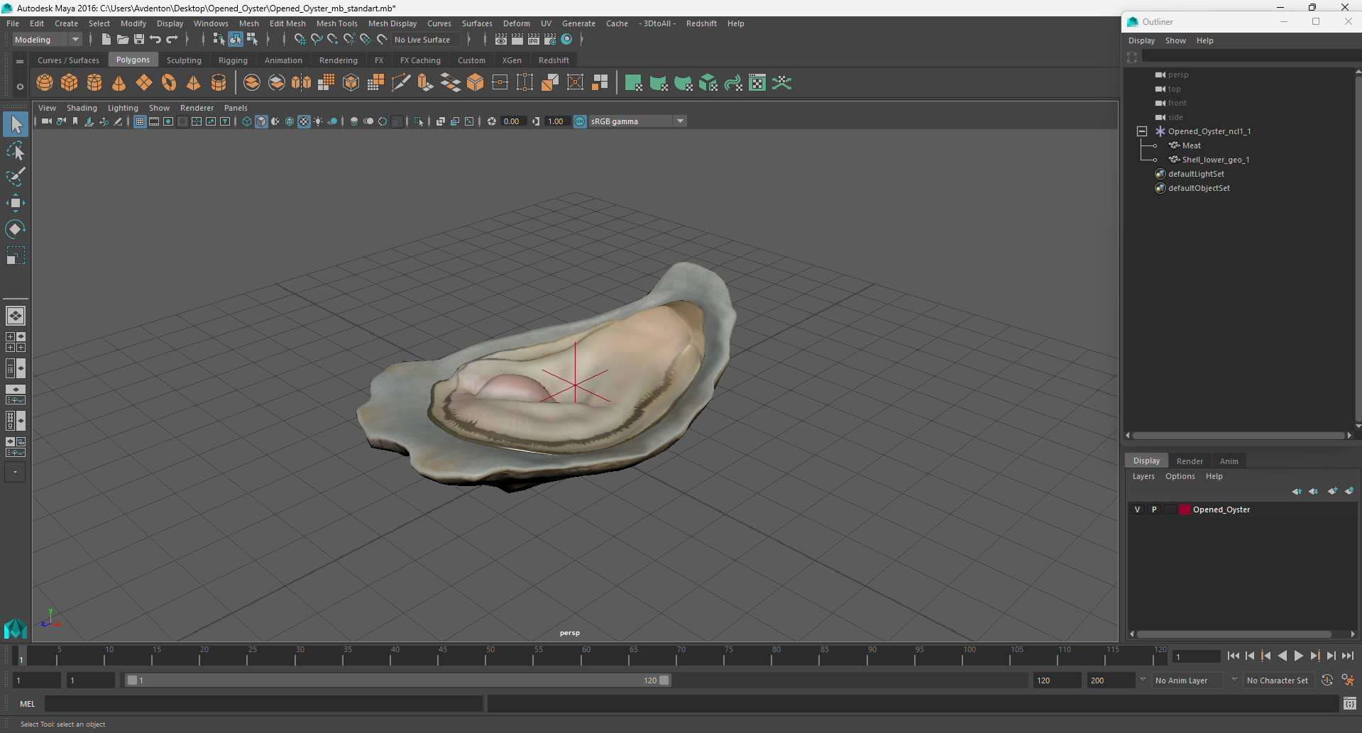 3D Opened Oyster model