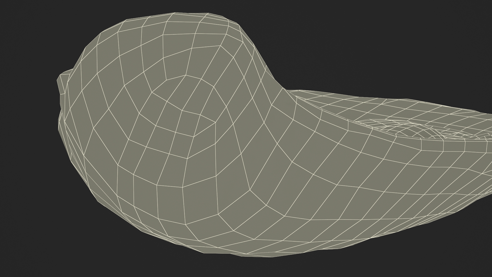 3D Opened Oyster model