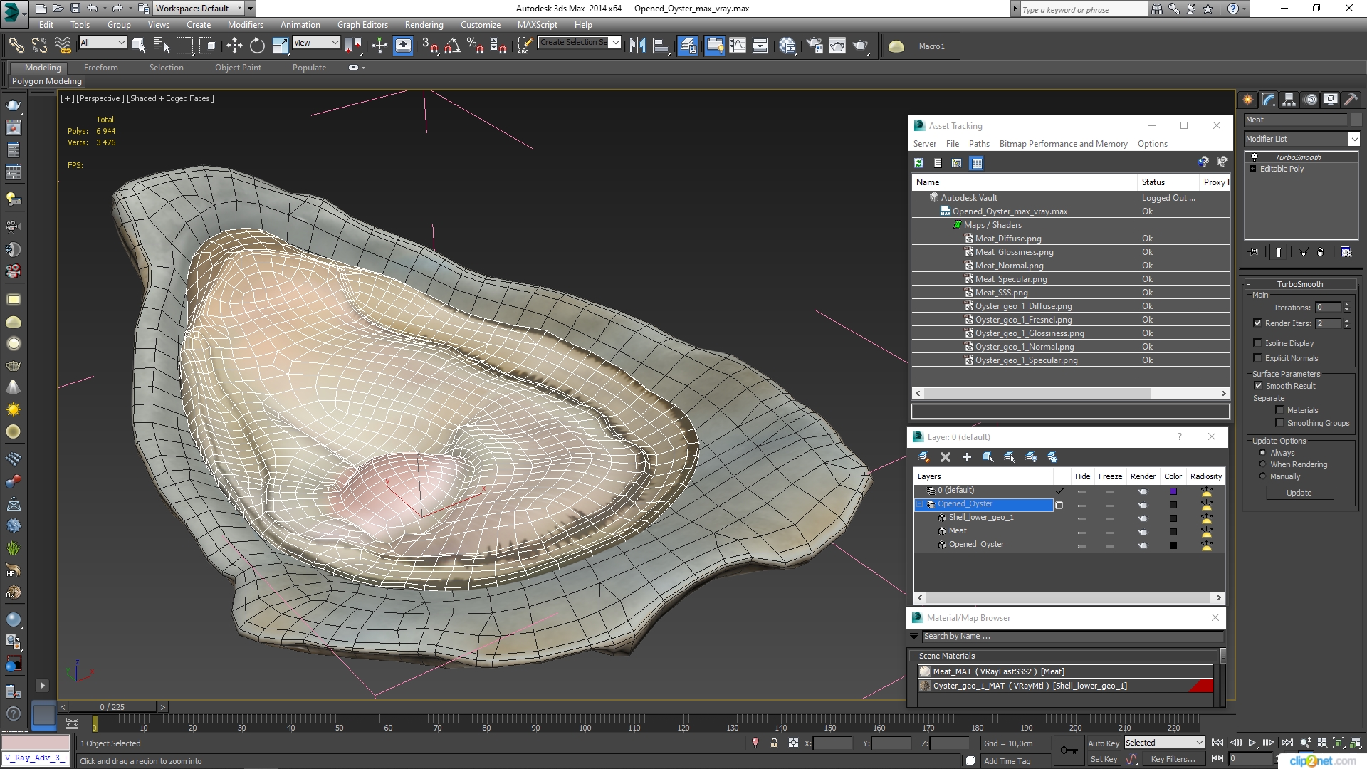 3D Opened Oyster model