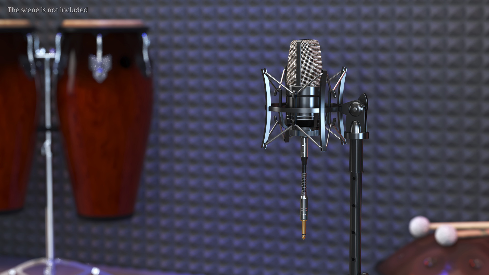 Professional Studio Microphone with Shock Mount 3D
