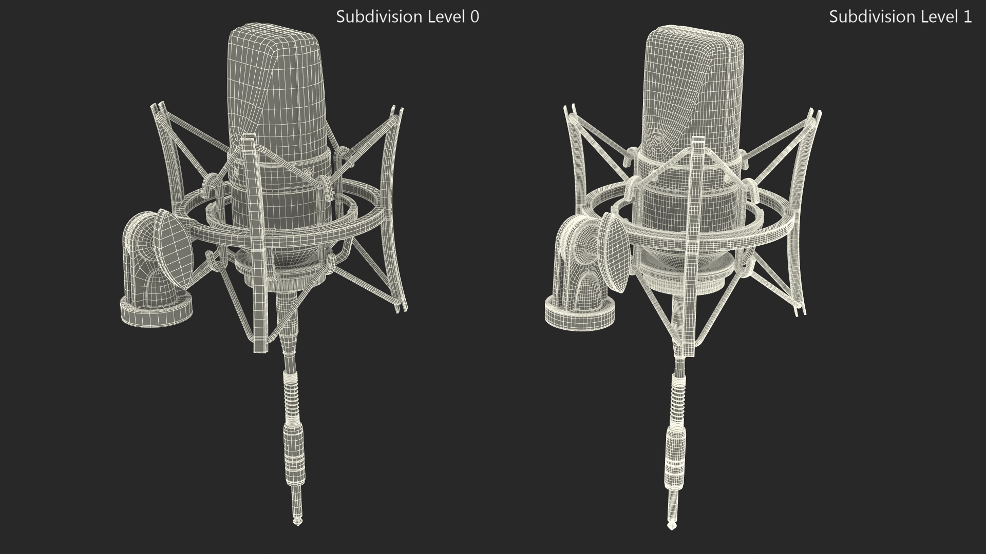 Professional Studio Microphone with Shock Mount 3D