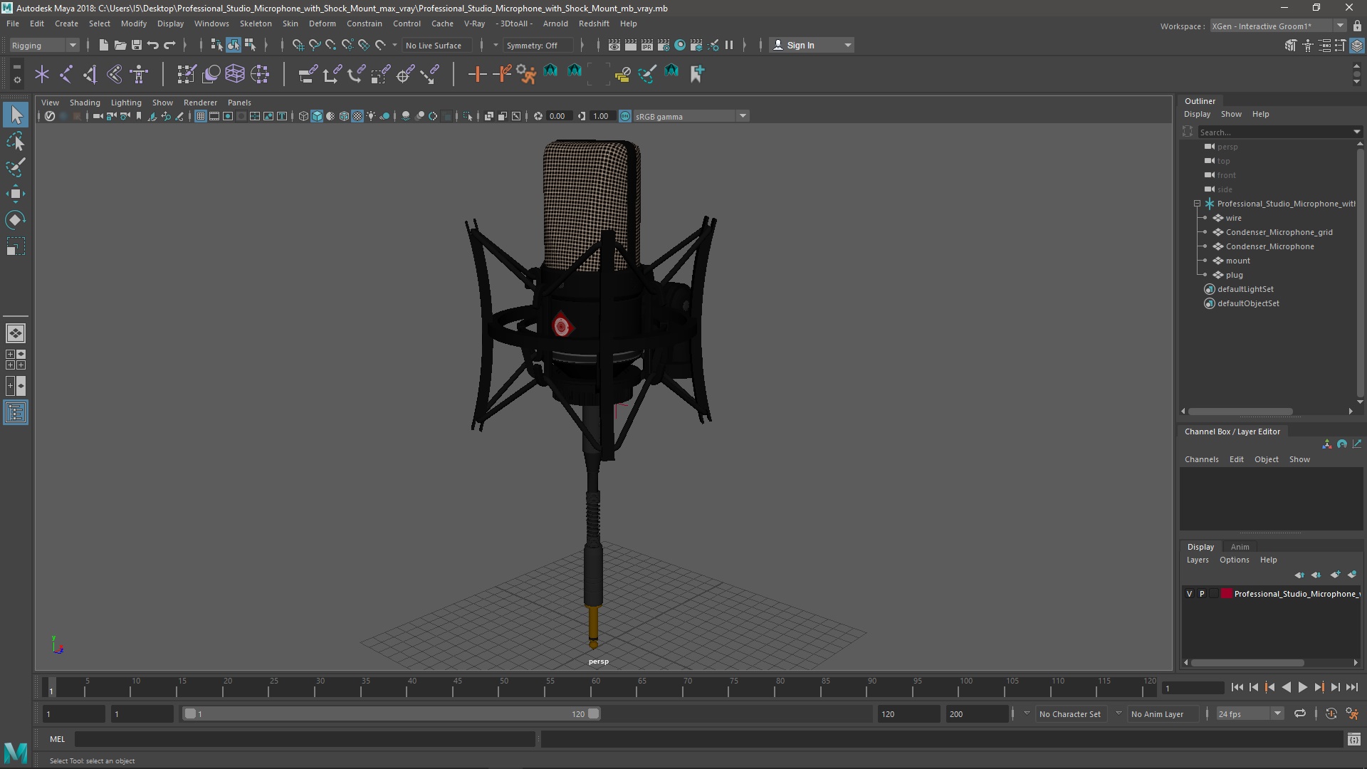Professional Studio Microphone with Shock Mount 3D